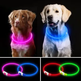 2 Pack Light Up Dog Collar, USB Rechargeable Dog Collar Light for Night Walking, Led Lighted Dog Collar, Glow in The Dark Dog Collar for Small Medium Large Dogs (Pink Blue)