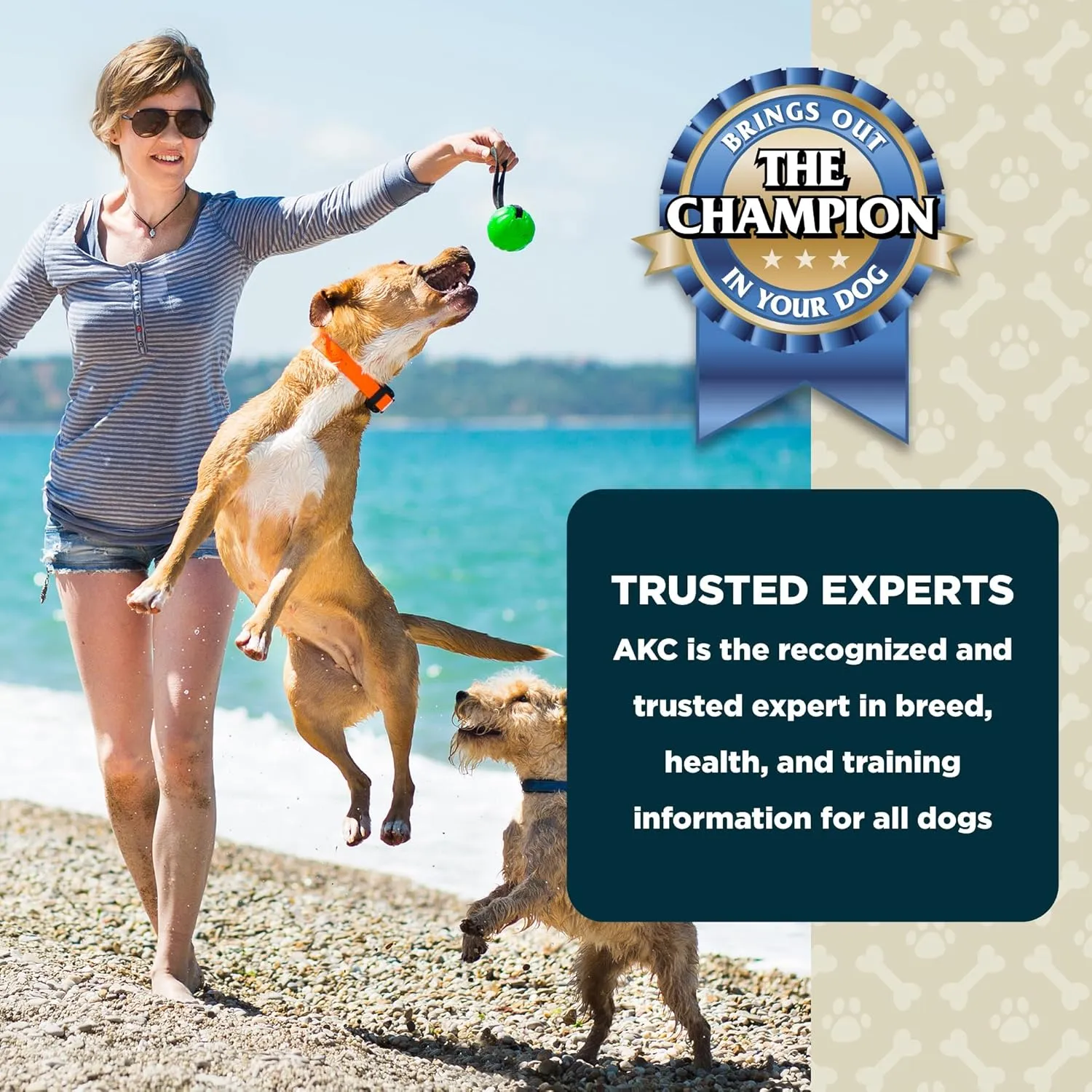 American Kennel Club Lil Champs Soft & Moist Training Treats, Pork Flavor, All Breed Sizes, 12 Ounces