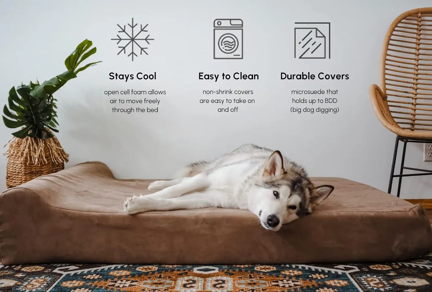 Barker Beds Sleek Dog Bed for Large Sized Dogs (Large, Khaki)  7" Thick Soft & Comfortable Orthopedic Cushion  Durable & Washable Microsuede Cover  Made in USA