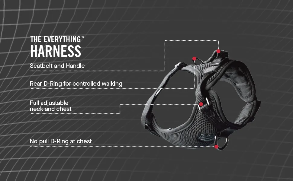Canada Pooch - Everything Harness - Reflective