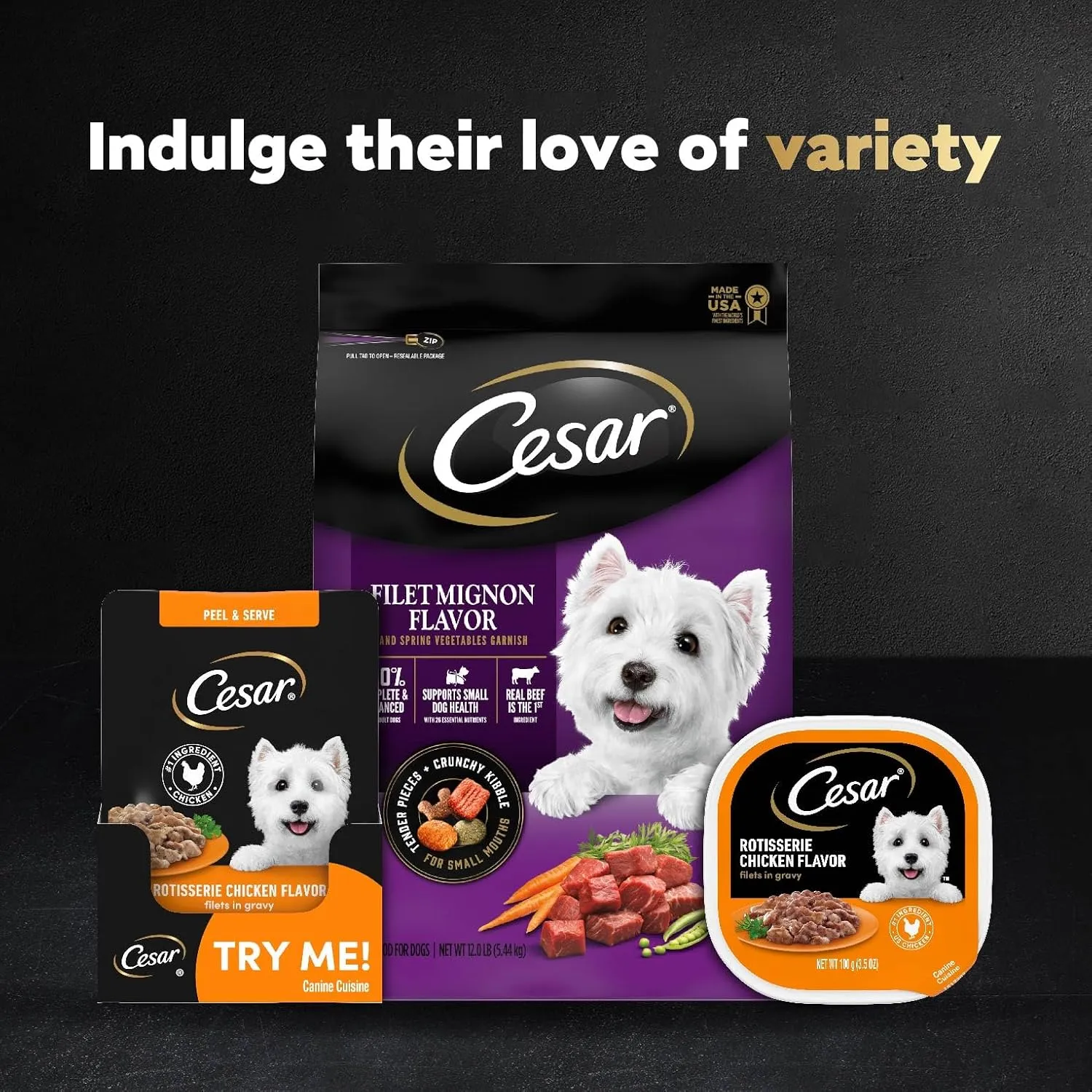Cesar Filets in Gravy Wet Dog Food Filet Mignon Flavor and Rotisserie Chicken Flavor Variety Pack, 1.76 oz. Mini-Pouches (20 Count, Pack of 2)