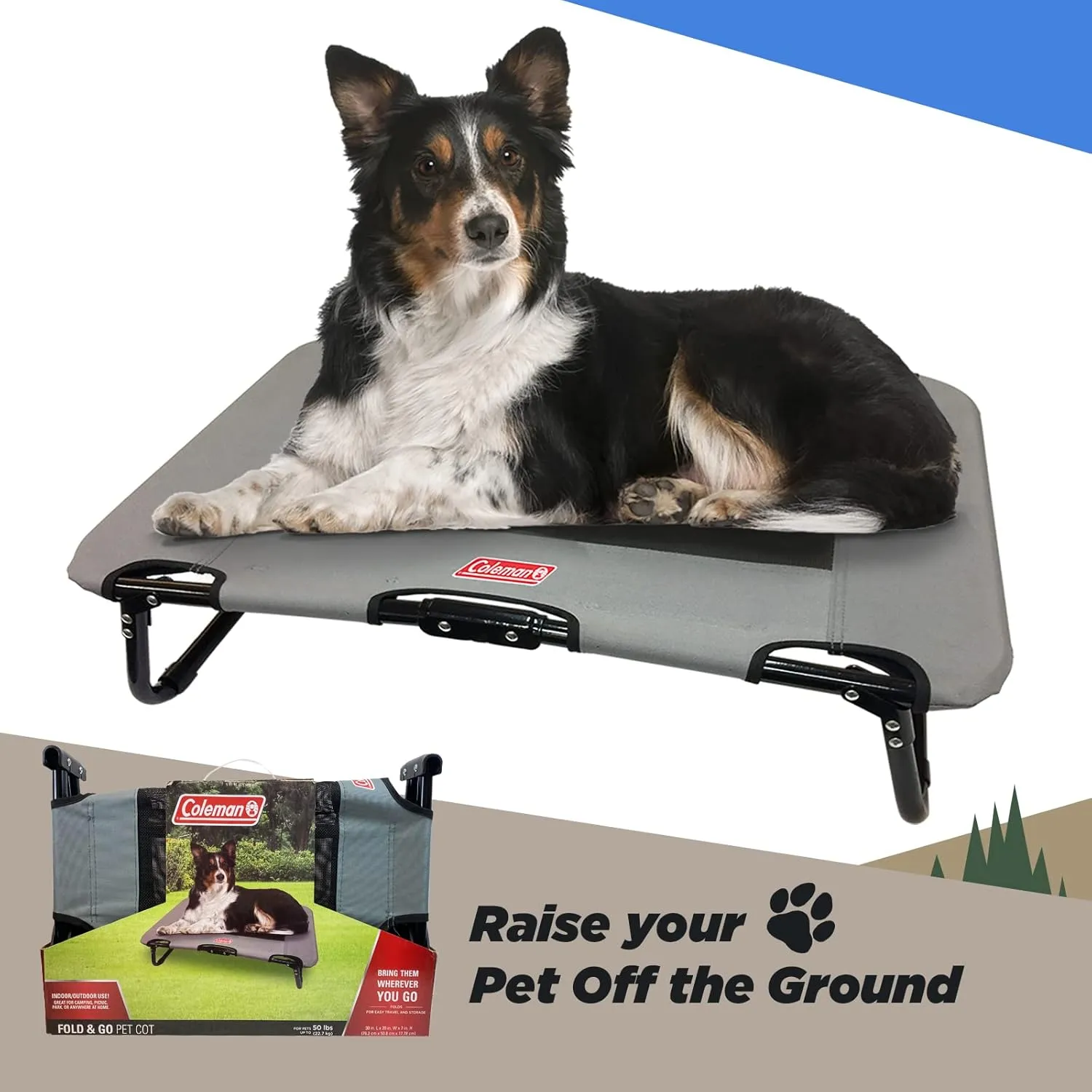Coleman Elevated Folding Dog Cot, Medium, 20" x 30", Gray