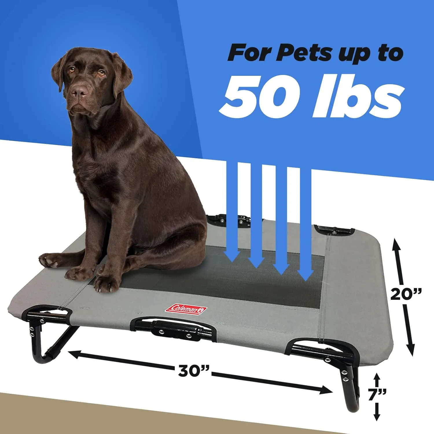 Coleman Elevated Folding Dog Cot, Medium, 20" x 30", Gray