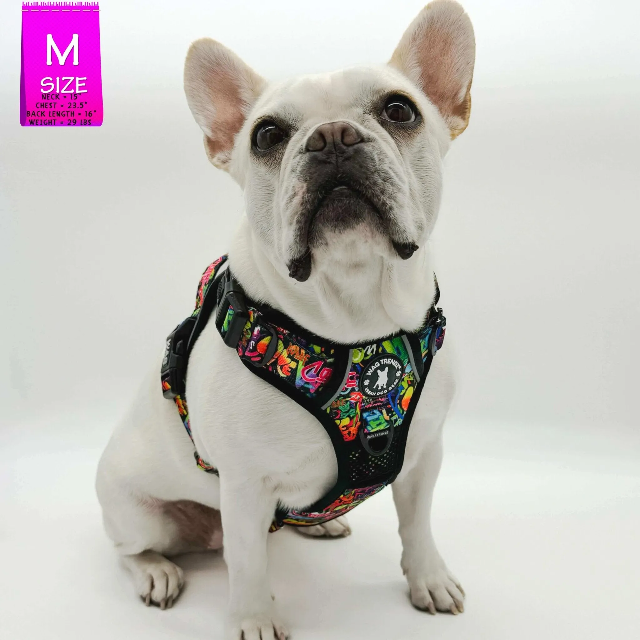 Dog Harness and Leash Set - No Pull | Street Graffiti
