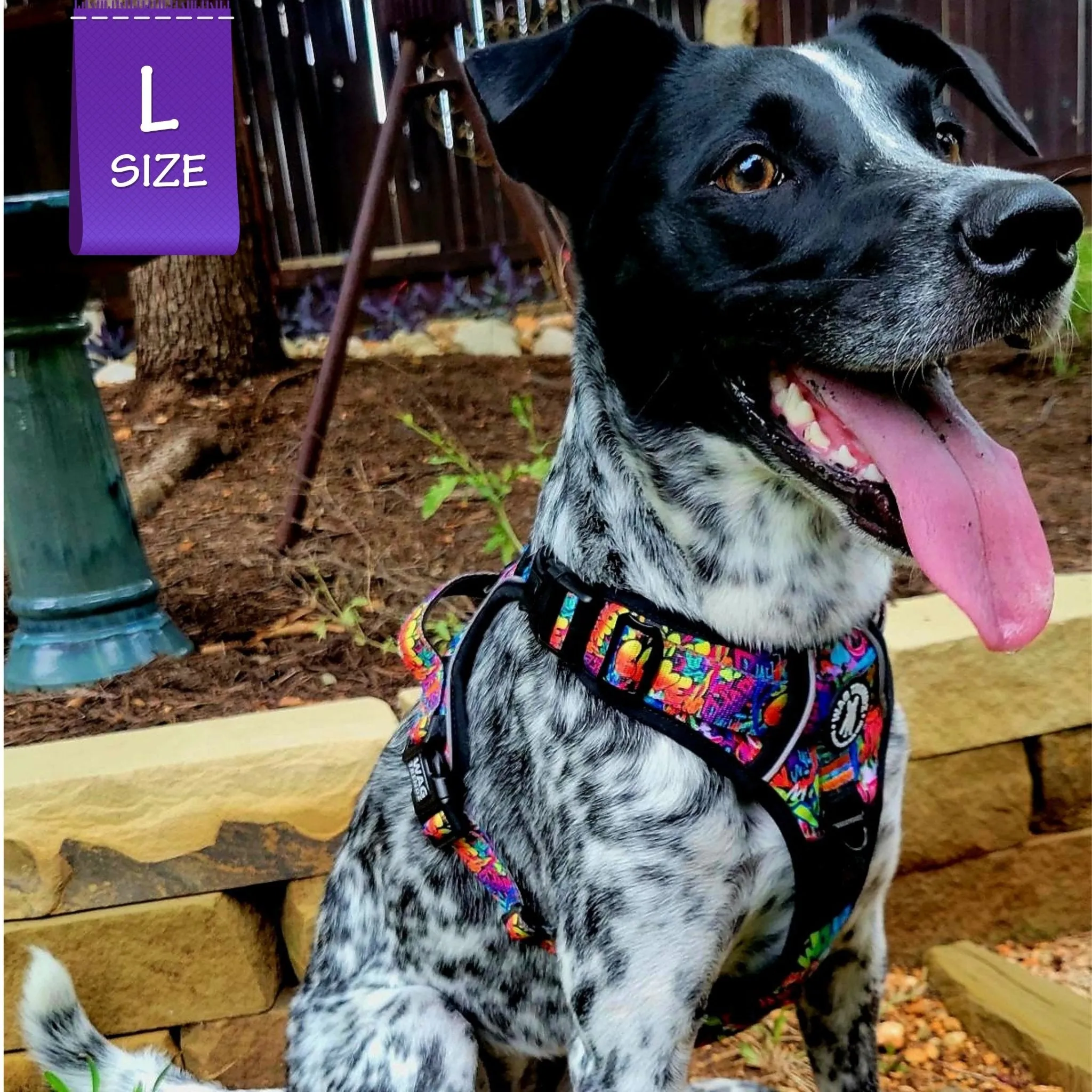 Dog Harness and Leash Set - No Pull | Street Graffiti