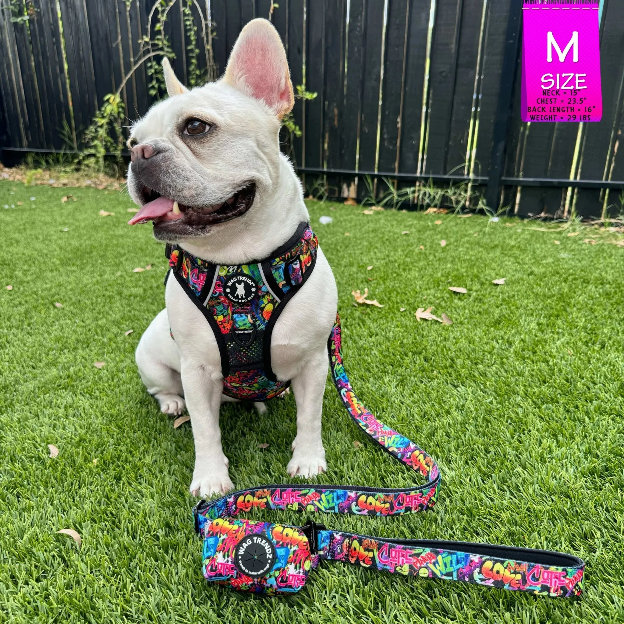 Dog Harness and Leash Set - No Pull | Street Graffiti
