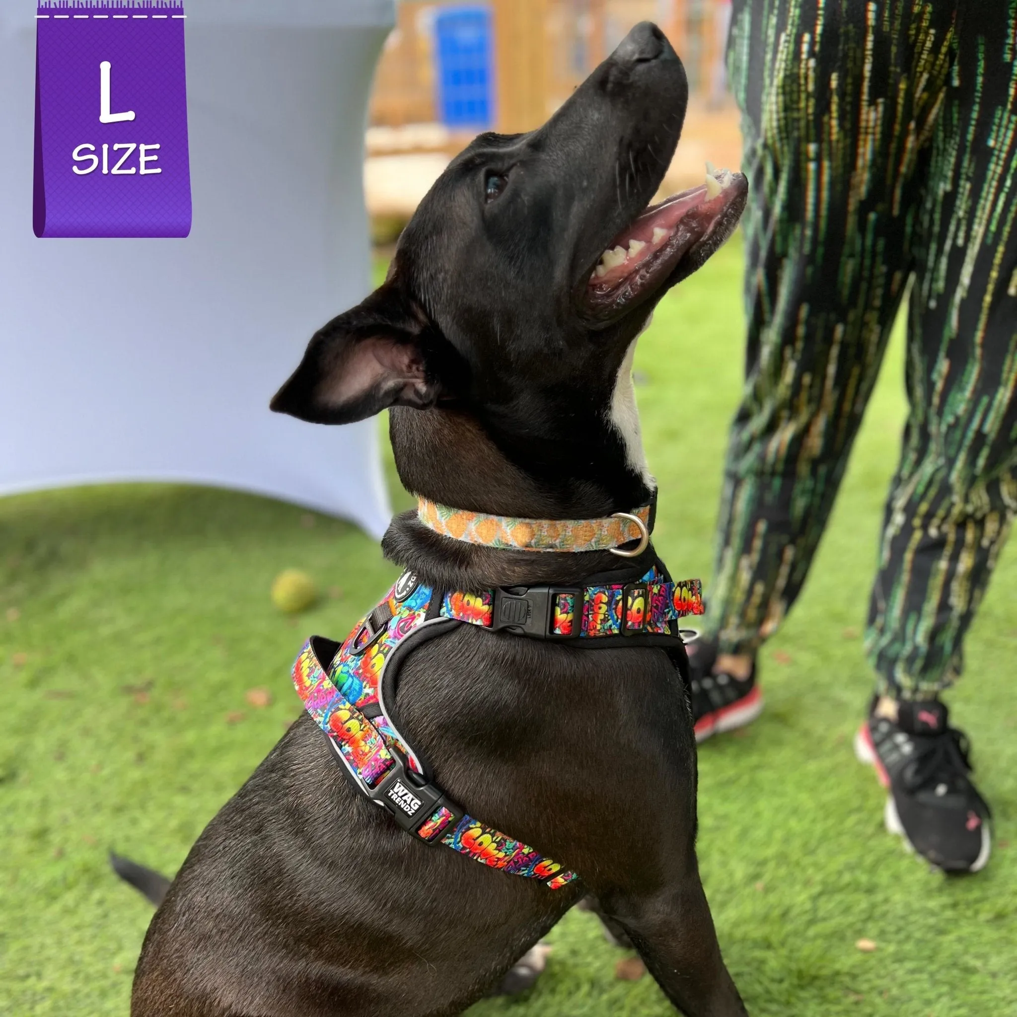 Dog Harness and Leash Set - No Pull | Street Graffiti