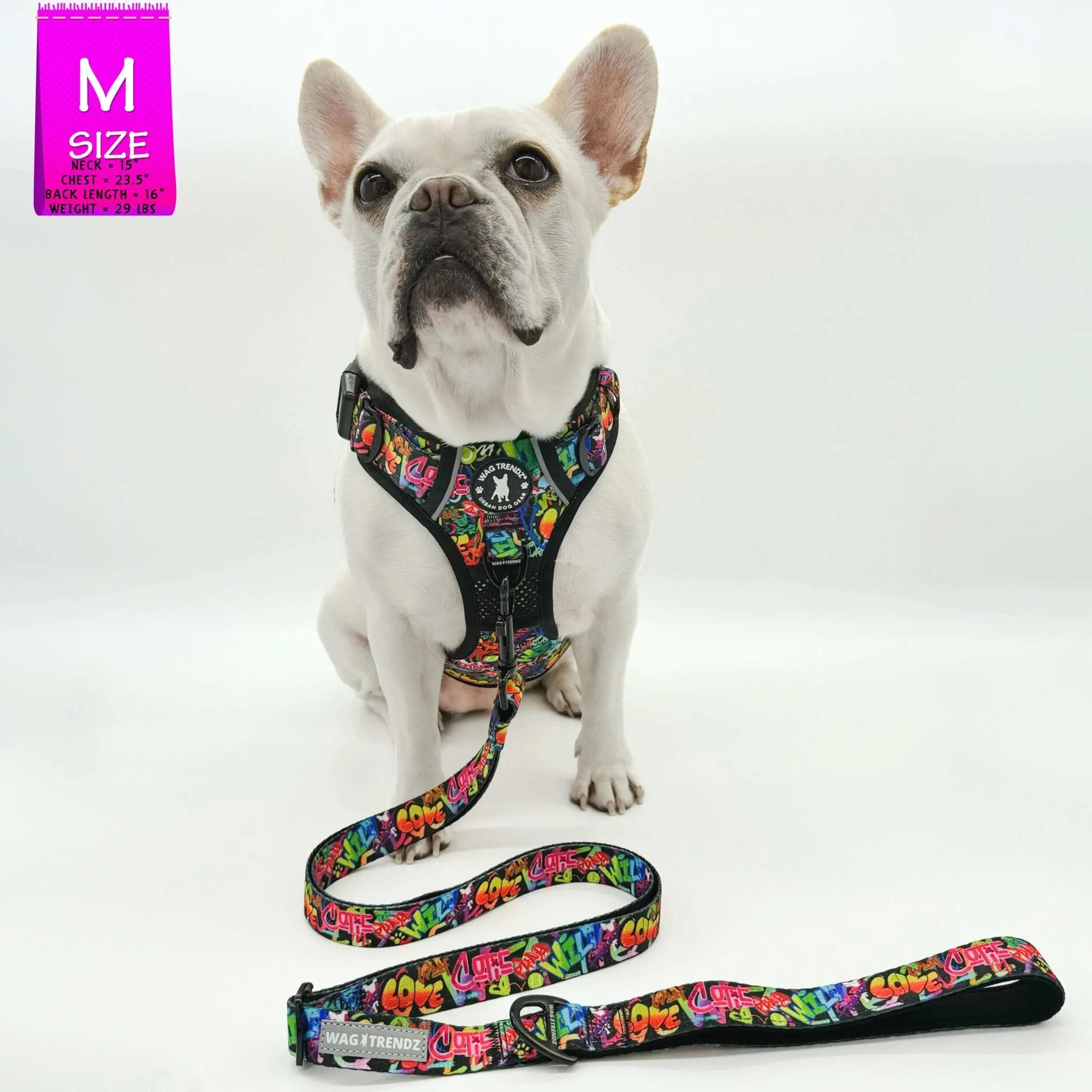 Dog Harness and Leash Set - No Pull | Street Graffiti
