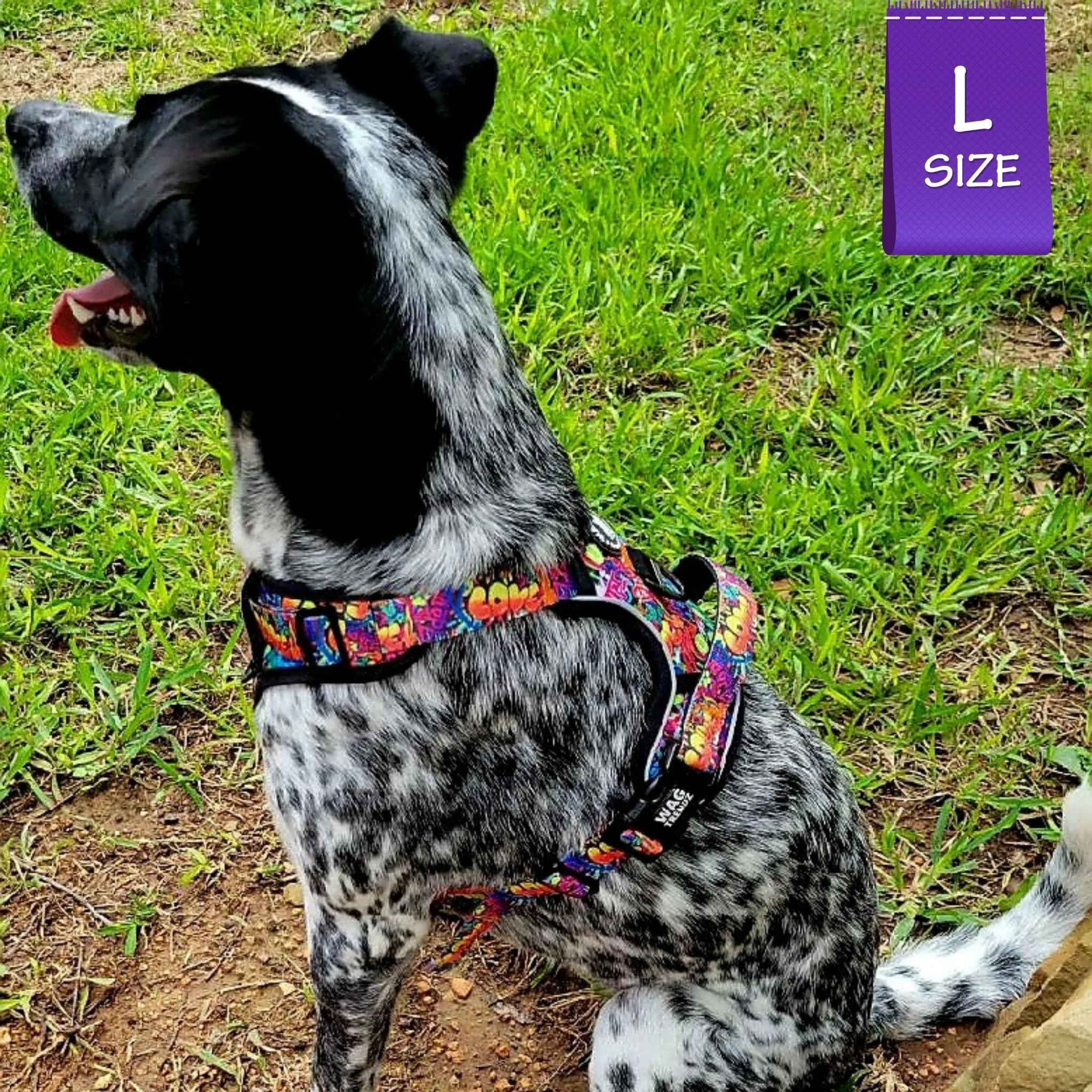 Dog Harness and Leash Set - No Pull | Street Graffiti