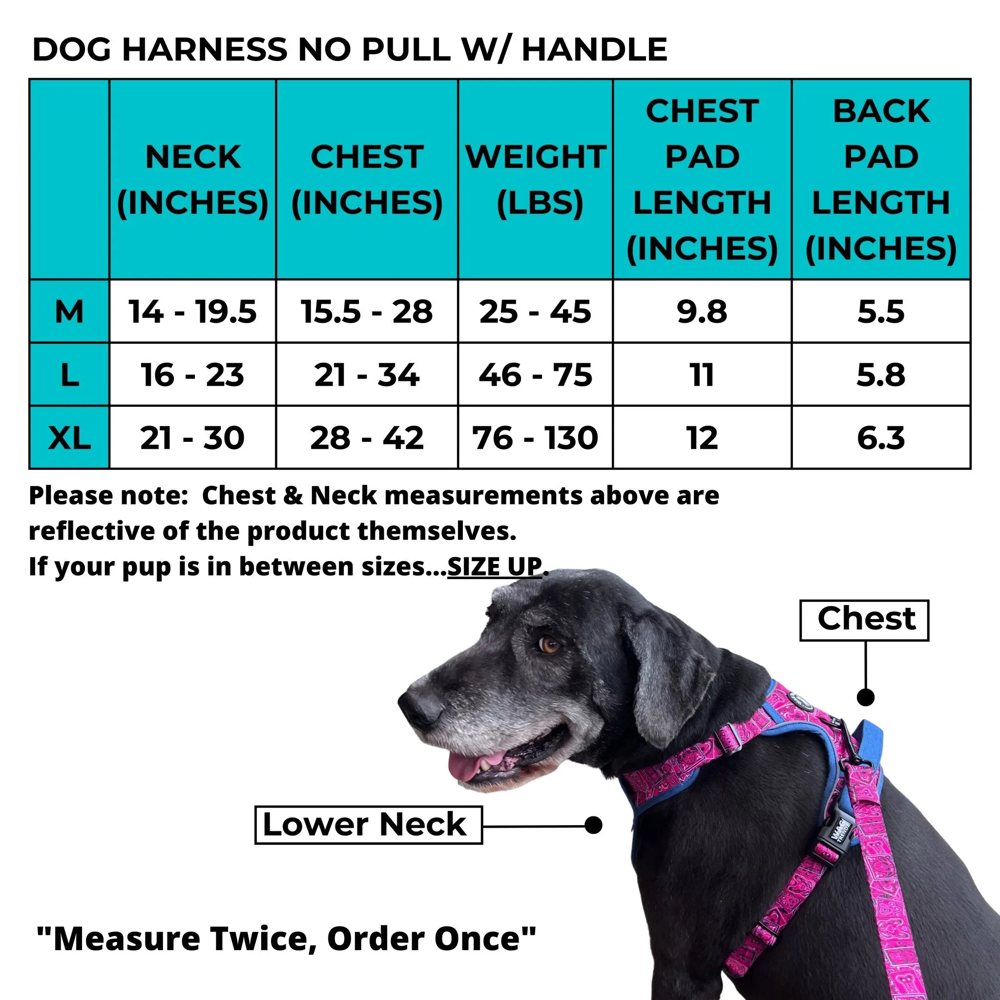 Dog Harness and Leash Set - Poo Bag Holder | Camo Chic (SHēk) Hi-Vis