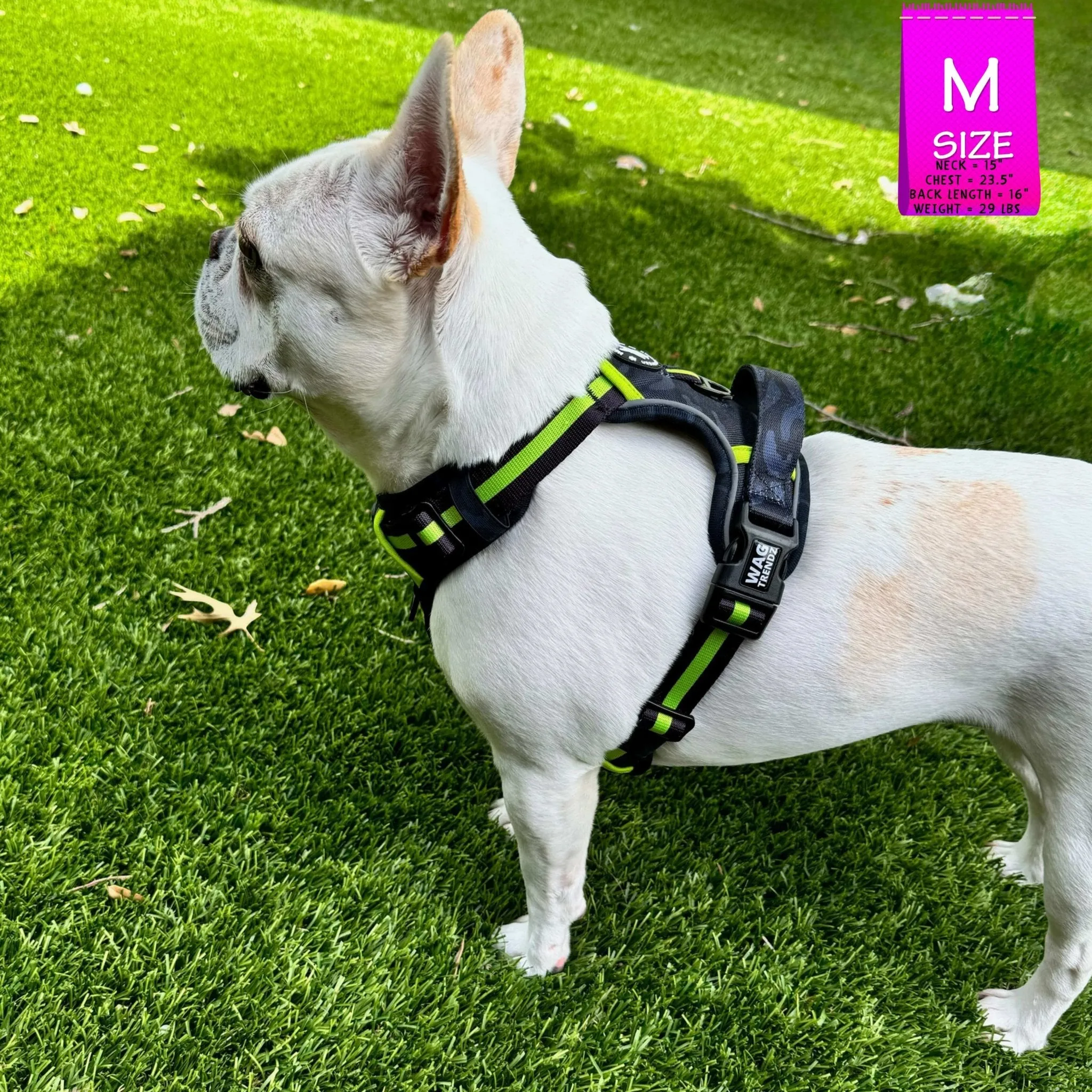 Dog Harness and Leash Set - Poo Bag Holder | Camo Chic (SHēk) Hi-Vis
