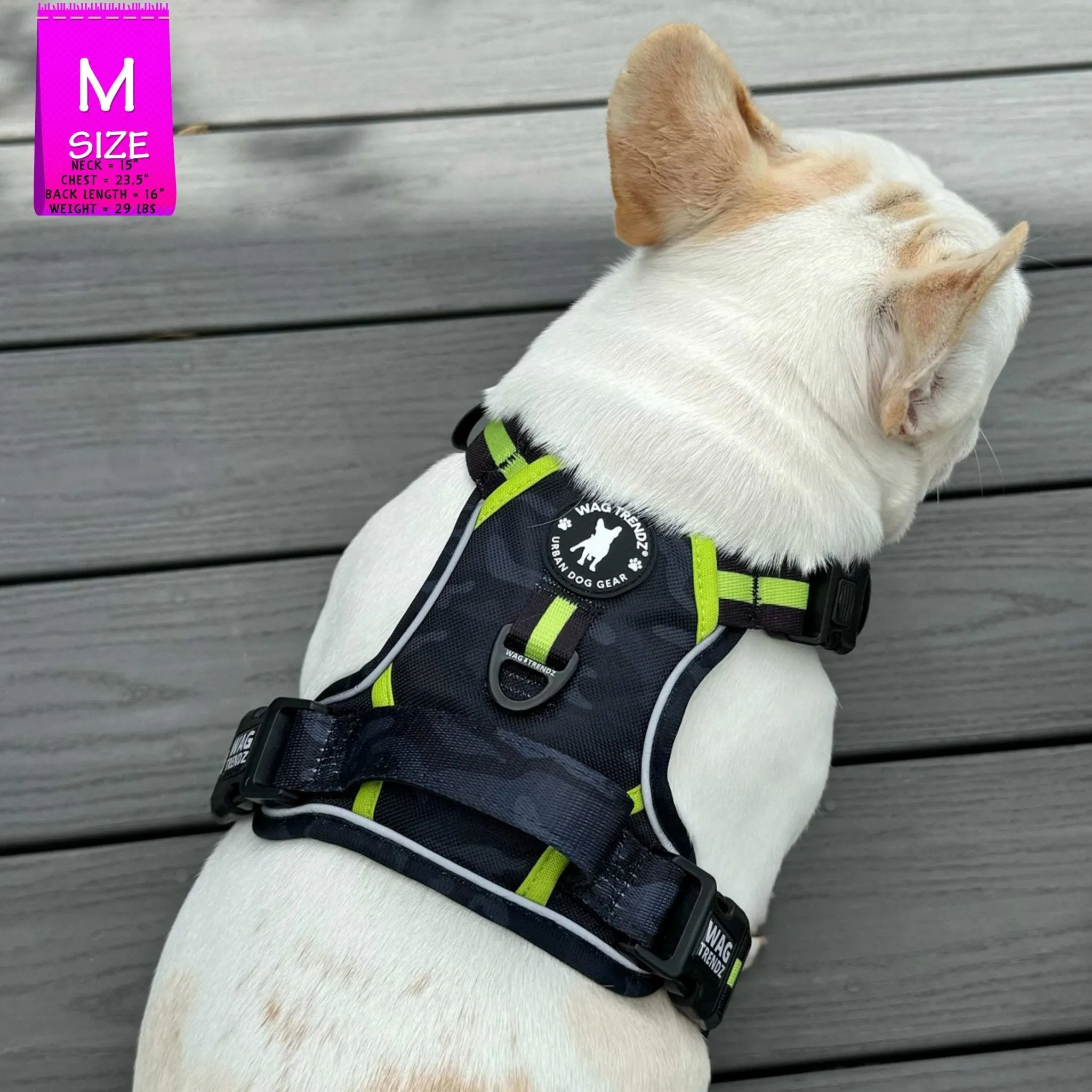 Dog Harness and Leash Set - Poo Bag Holder | Camo Chic (SHēk) Hi-Vis