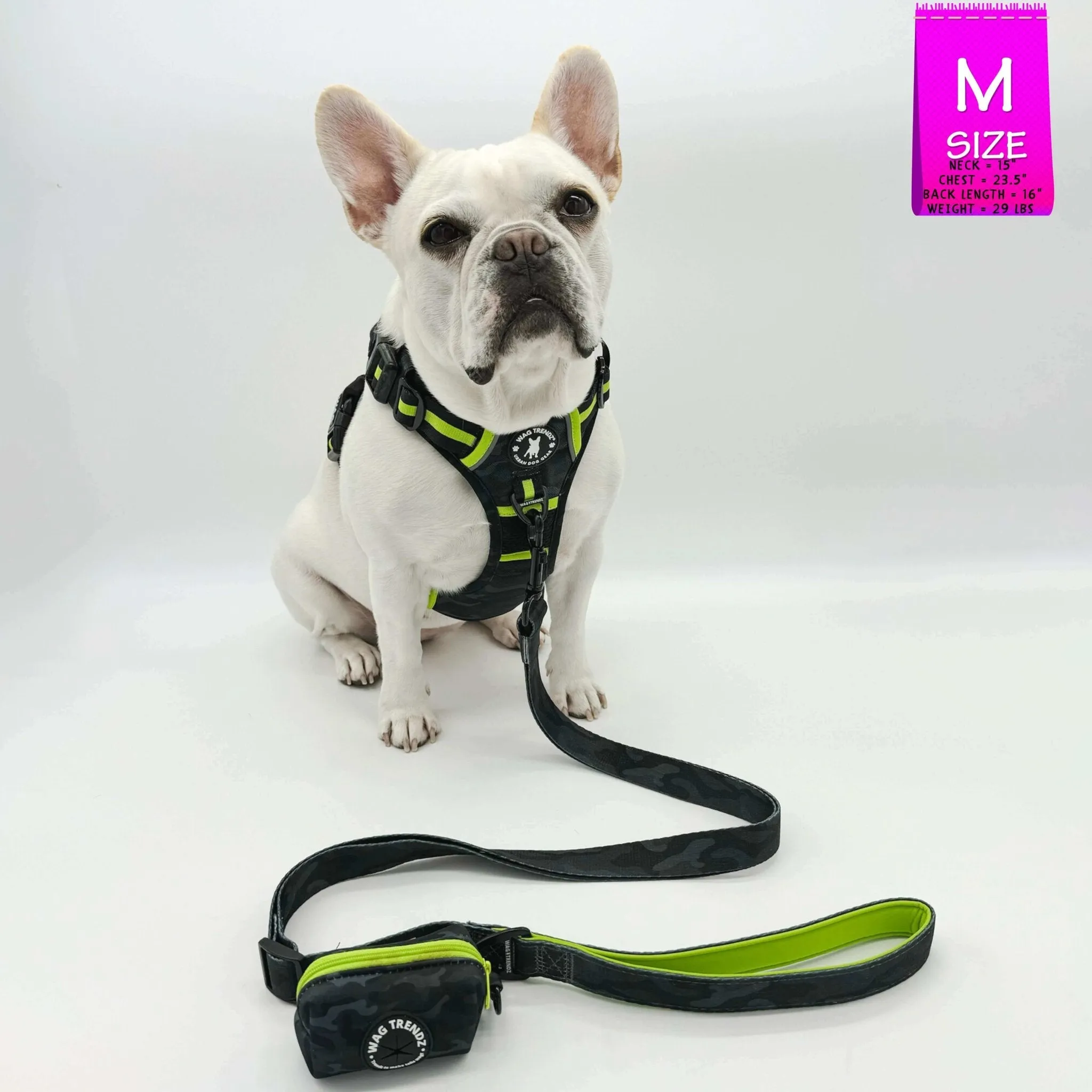 Dog Harness and Leash Set - Poo Bag Holder | Camo Chic (SHēk) Hi-Vis