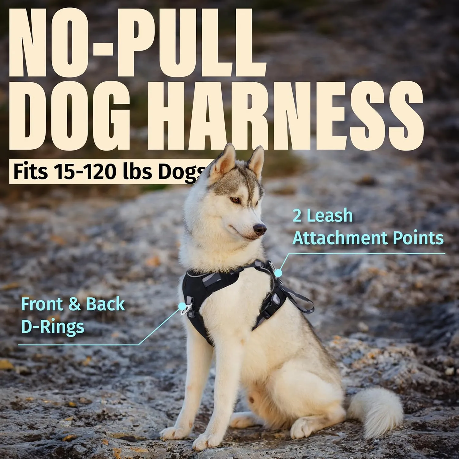 Dog Harness No-Pull with Front & Back D-Rings, Water-Repellent 600D Oxford for Hiking/Training/Walks, Reflective Adjustable Vest, Lightweight Aluminum Hardware Fit for Medium Sized Dogs, Camo Black, M