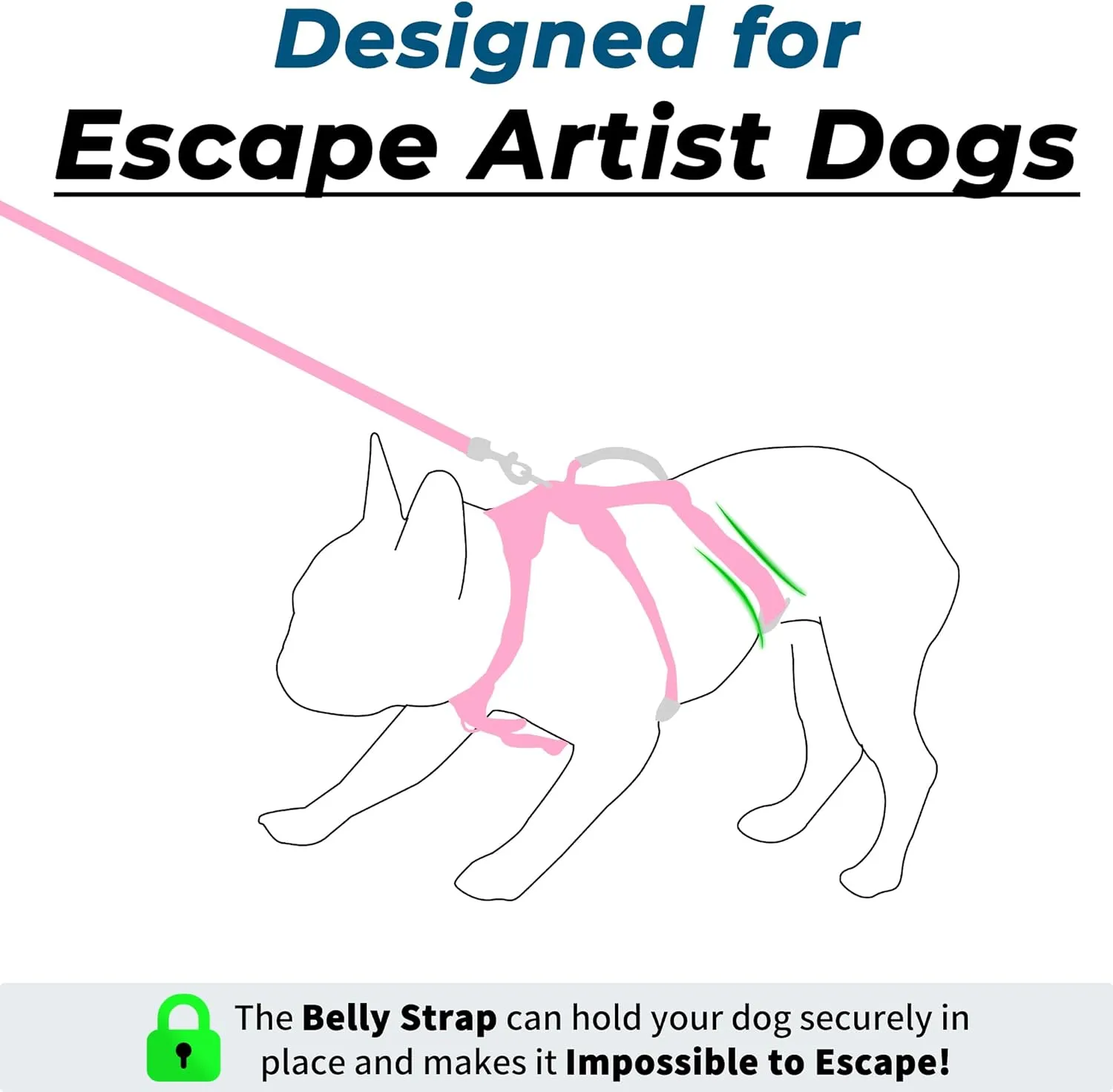 Escape Proof Dog Harness and Leash Set, Lightweight Dog Harness with Lift and Assist Handle, No Pull Reflective Pet Vest for Small Medium Dogs, Ideal for Puppy Walking and Training (Pink, M)