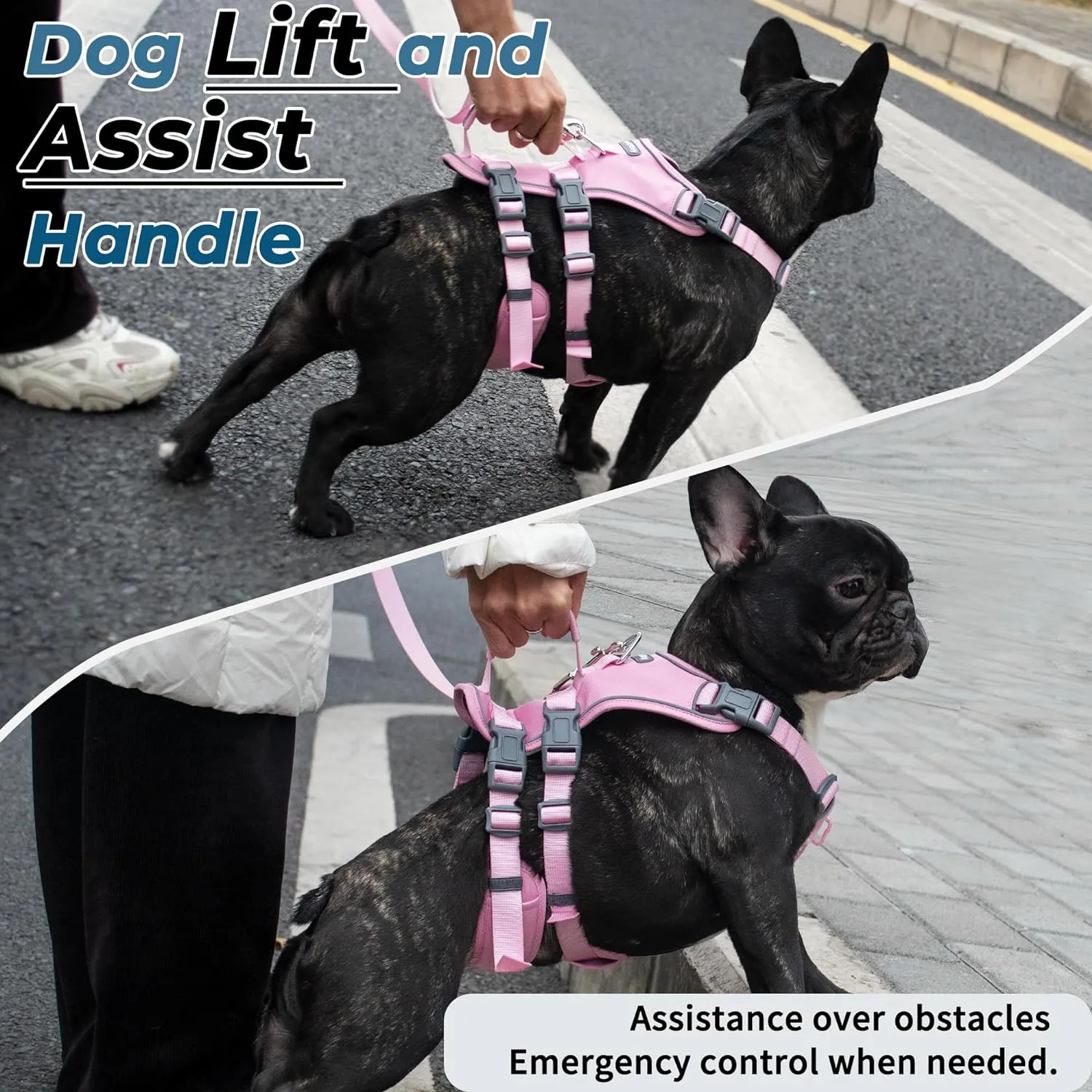 Escape Proof Dog Harness and Leash Set, Lightweight Dog Harness with Lift and Assist Handle, No Pull Reflective Pet Vest for Small Medium Dogs, Ideal for Puppy Walking and Training (Pink, M)