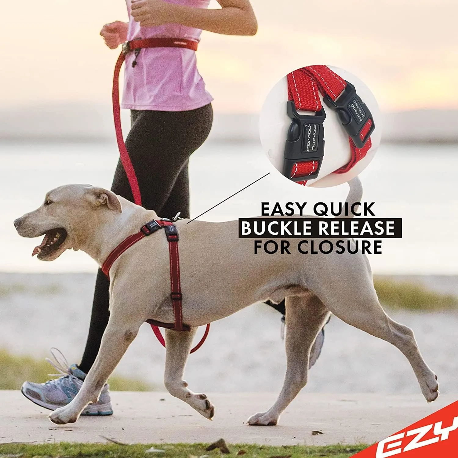 EzyDog Chest Plate No Pull Dog Harness  Escape Proof Harness with Reflective Stitching and Comfort Padding for Easy Walks, Training & Control - Car Restraint Included (X-Large, Black)
