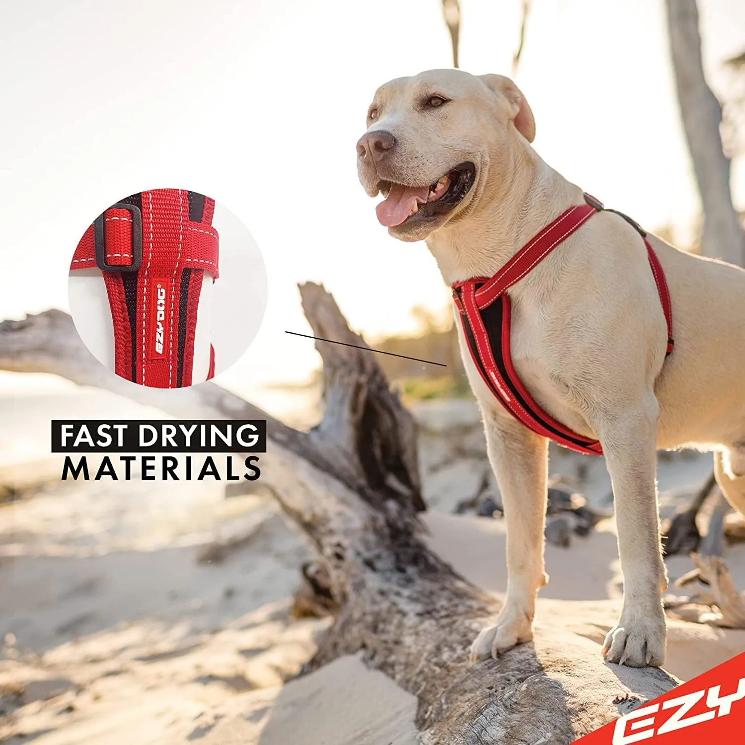 EzyDog Chest Plate No Pull Dog Harness  Escape Proof Harness with Reflective Stitching and Comfort Padding for Easy Walks, Training & Control - Car Restraint Included (X-Large, Black)
