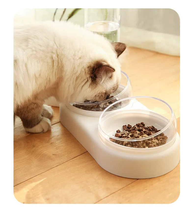 Food (2x Bowl) & Water Dispenser