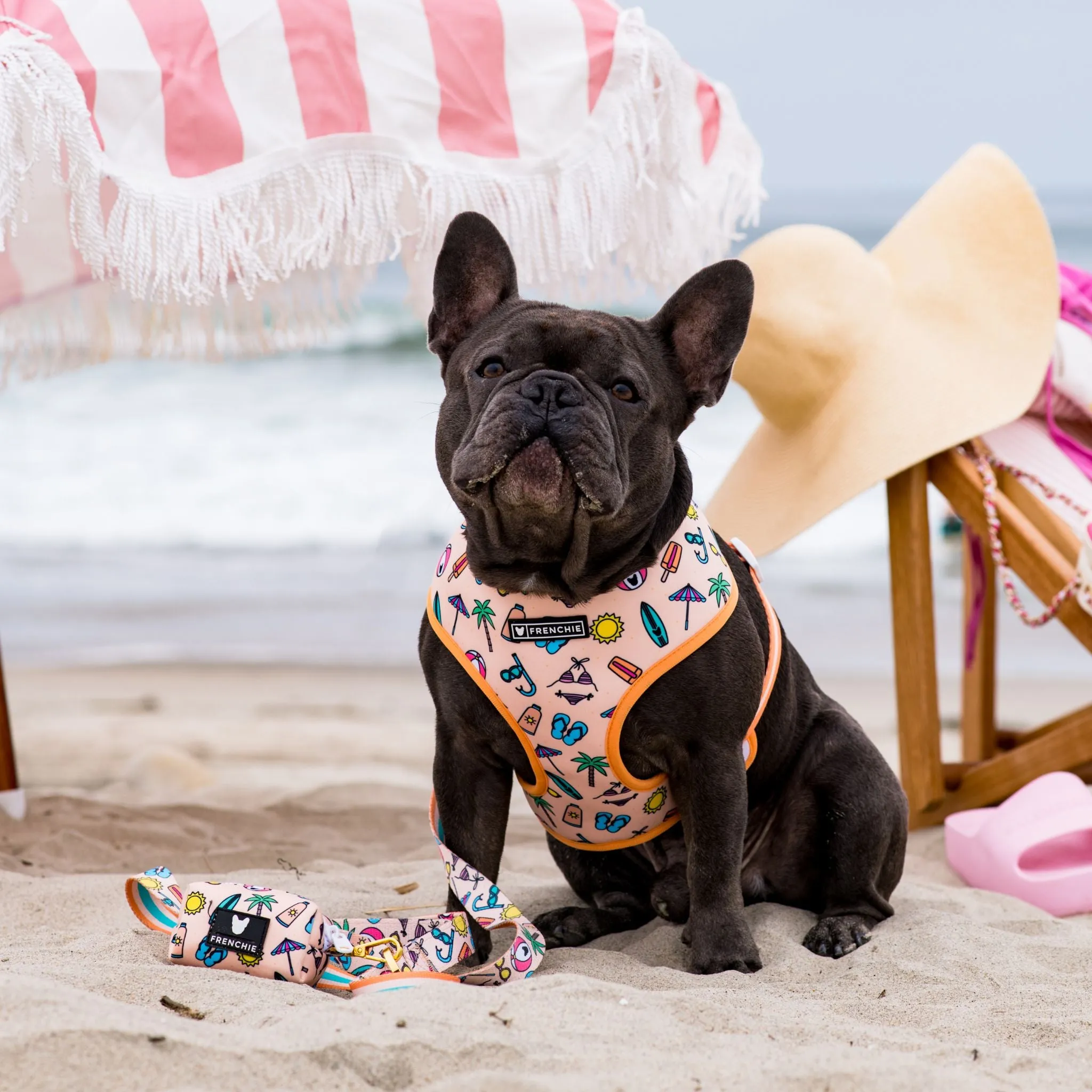 Frenchie Duo Reversible Harness - Beach Bum