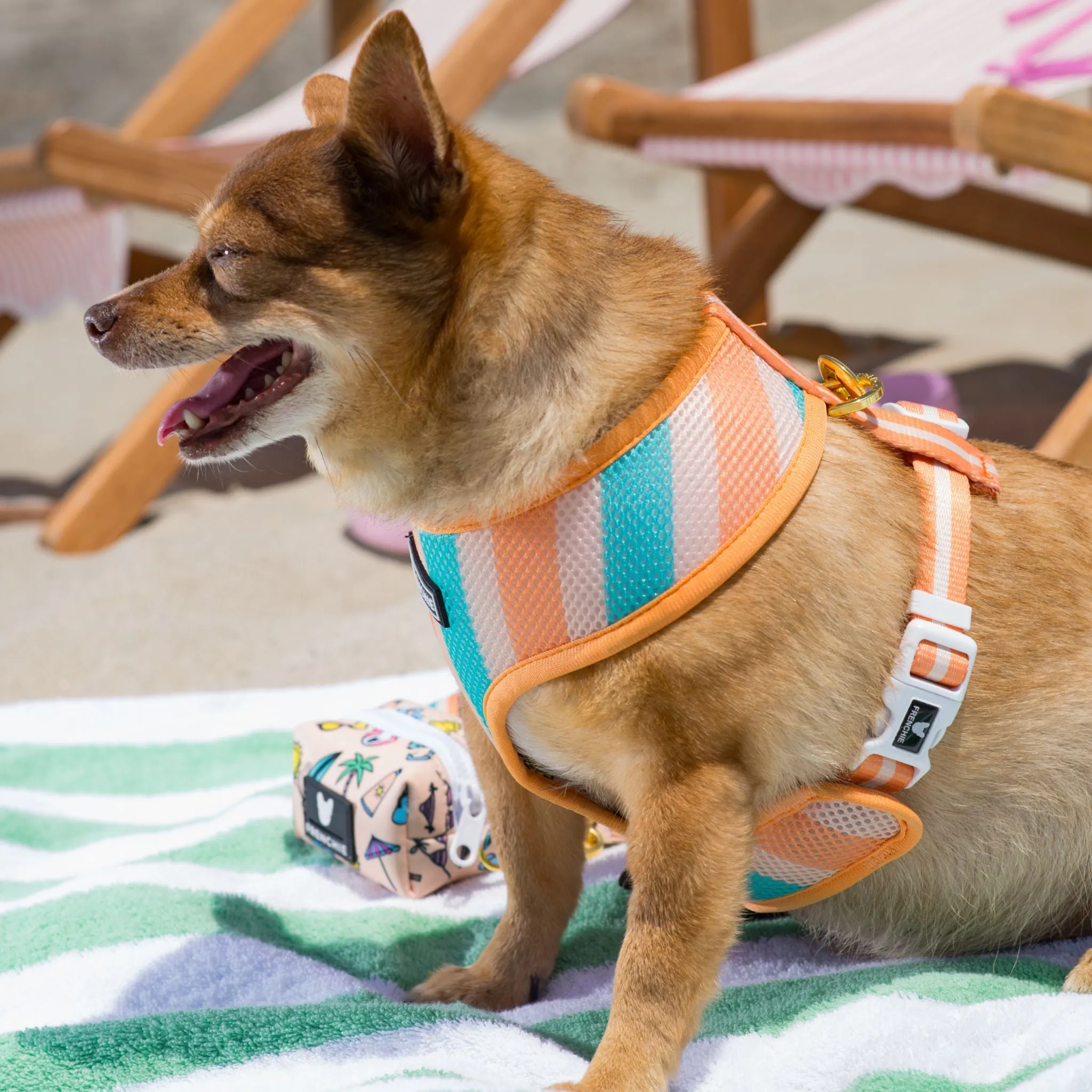 Frenchie Duo Reversible Harness - Beach Bum
