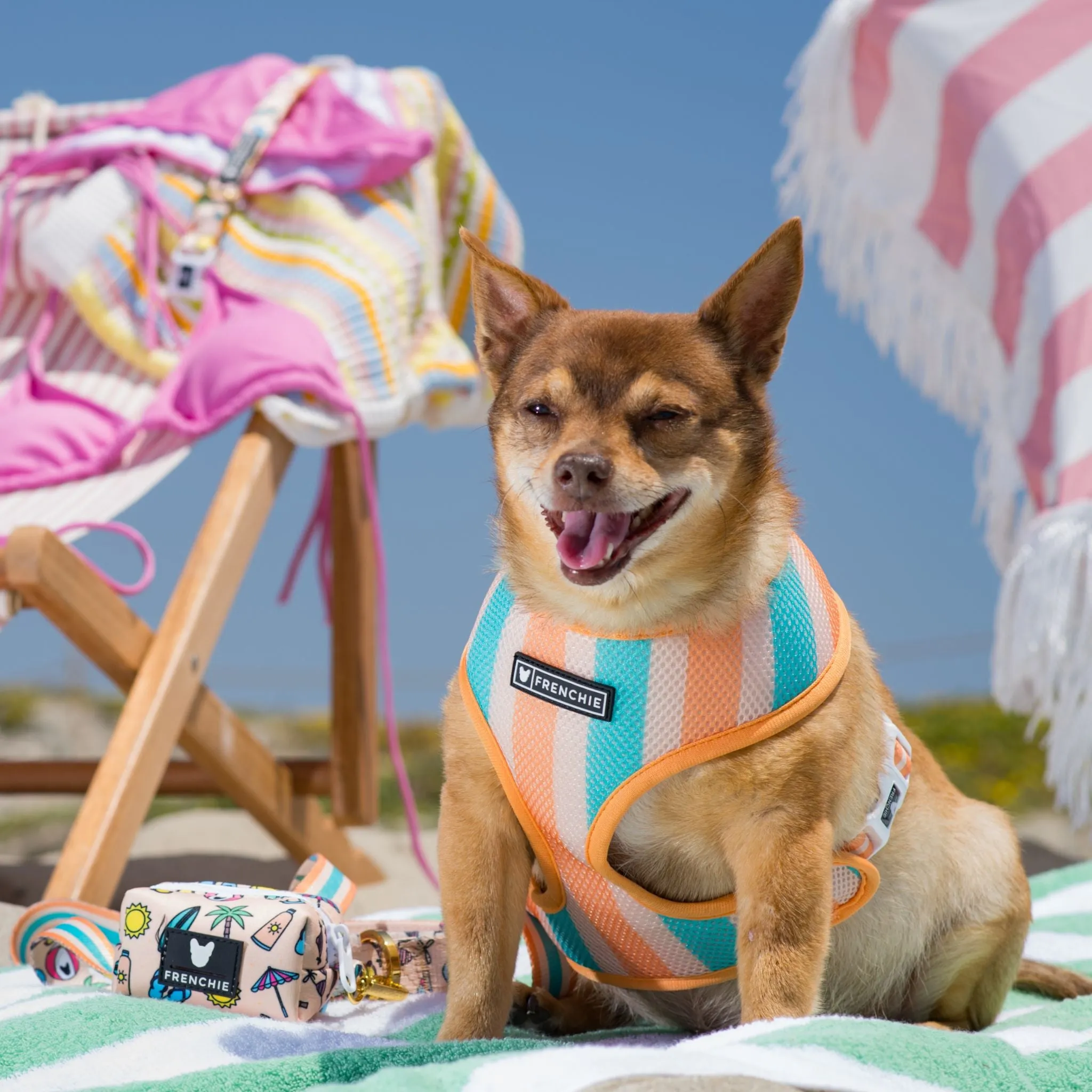 Frenchie Duo Reversible Harness - Beach Bum
