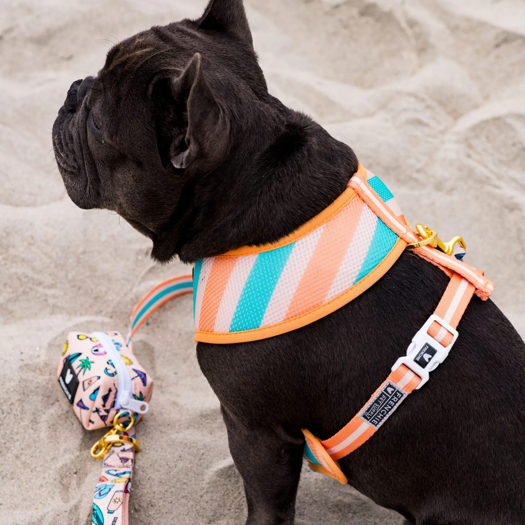 Frenchie Duo Reversible Harness - Beach Bum