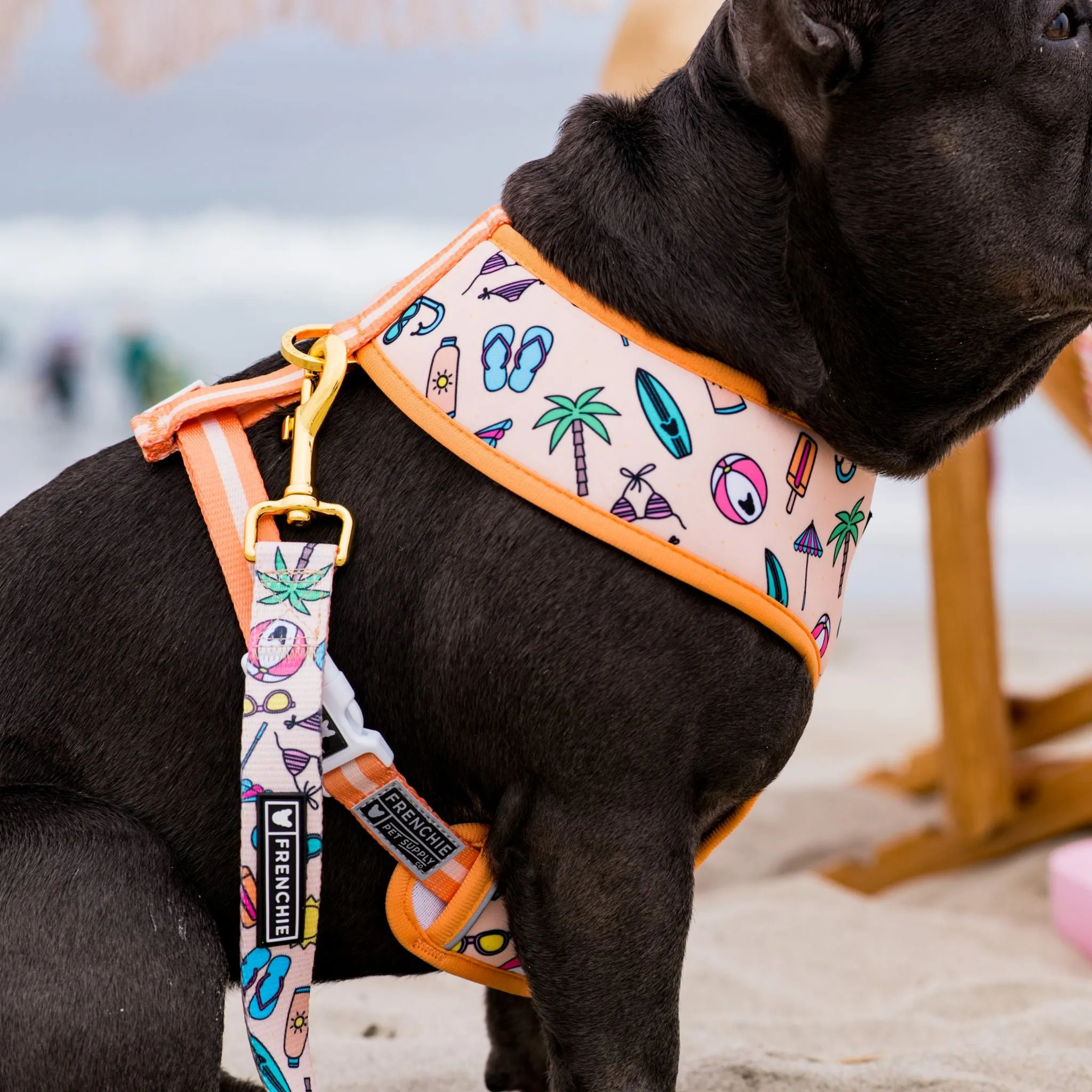 Frenchie Duo Reversible Harness - Beach Bum