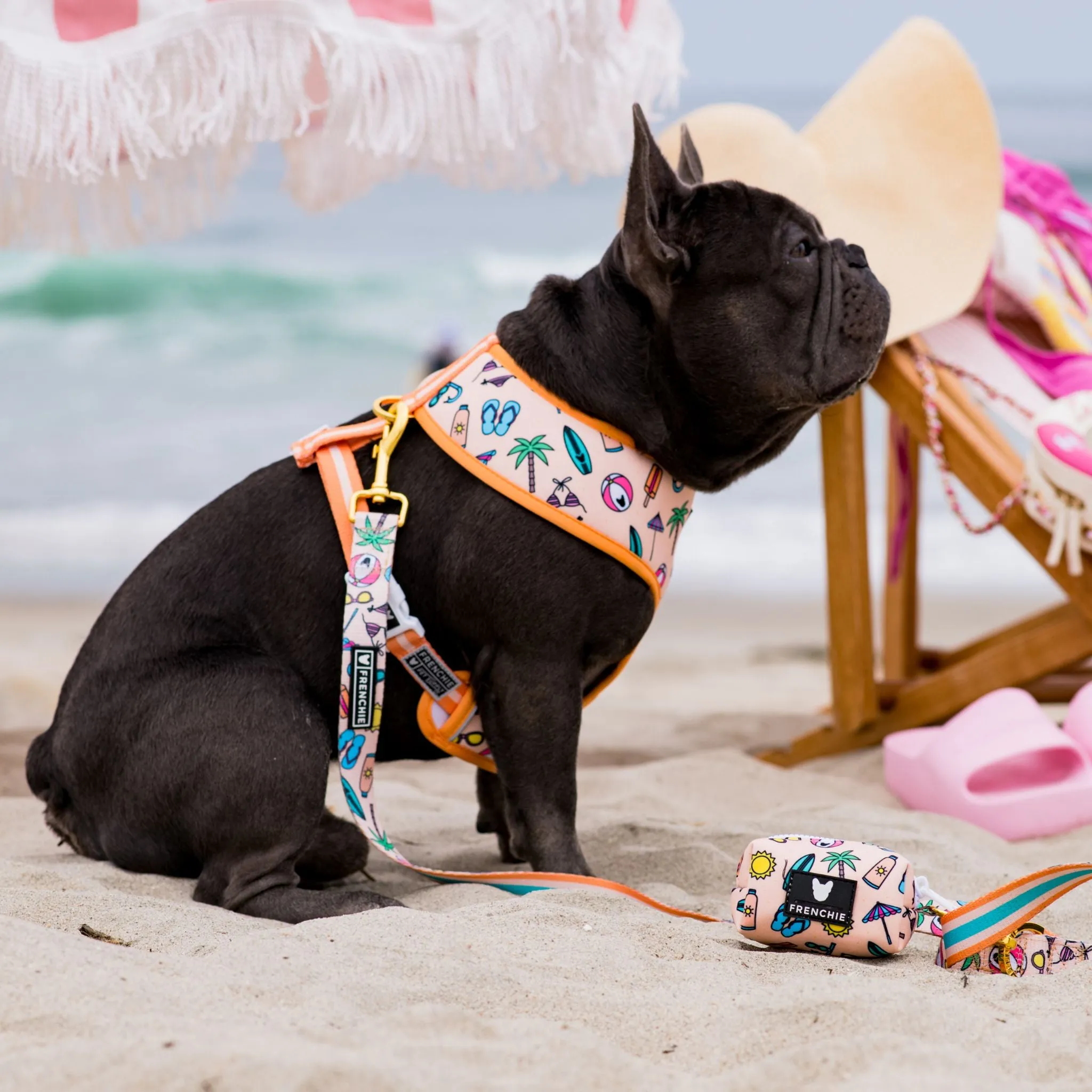 Frenchie Duo Reversible Harness - Beach Bum