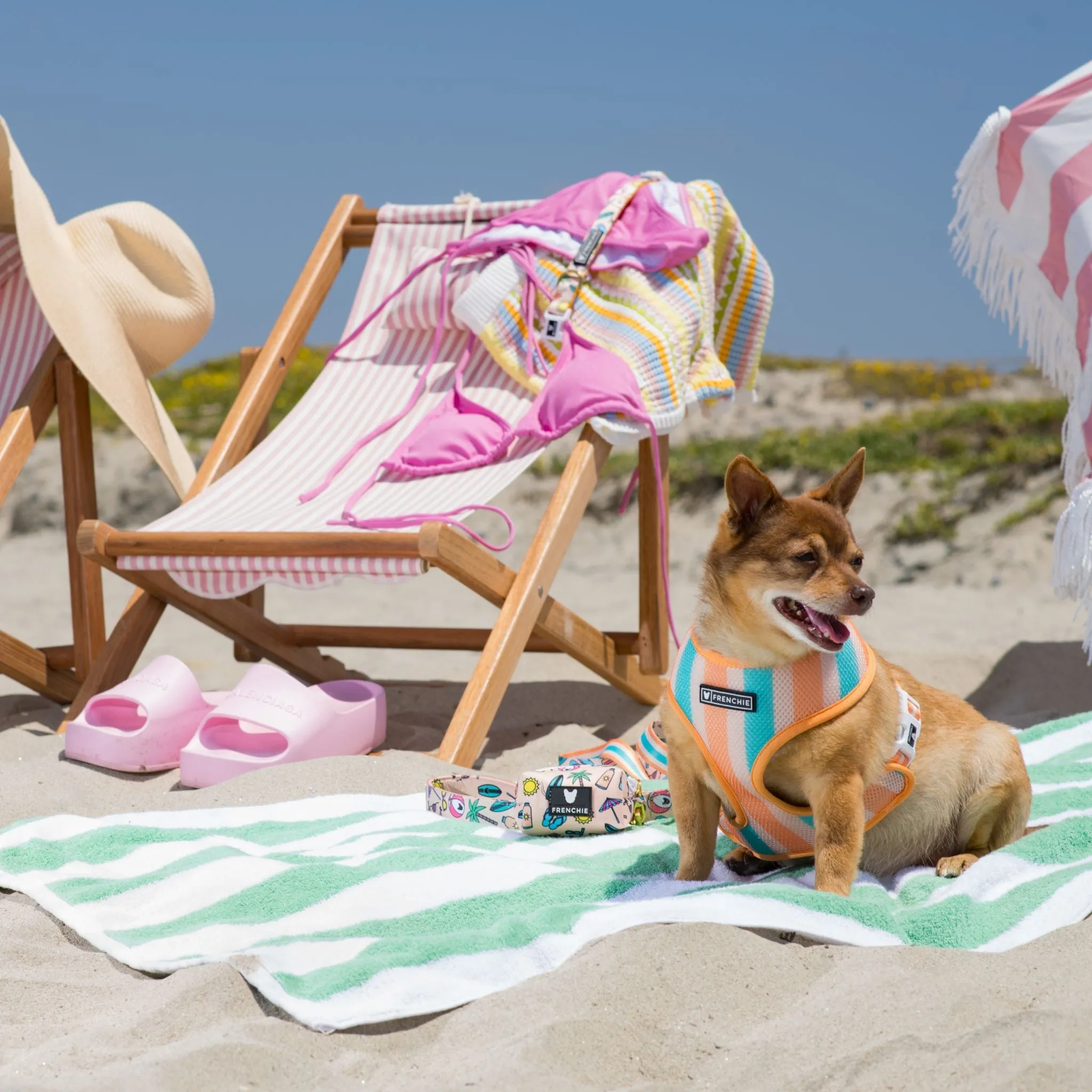 Frenchie Duo Reversible Harness - Beach Bum