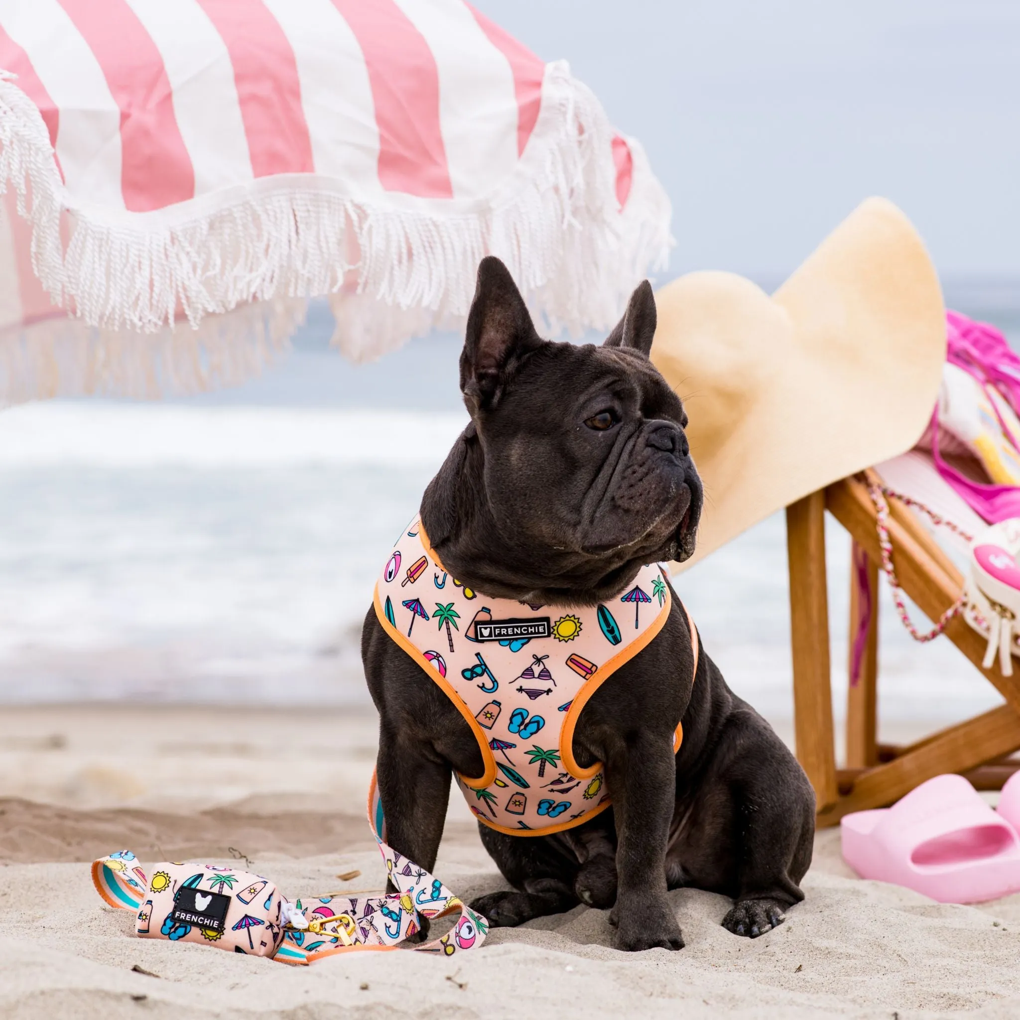 Frenchie Duo Reversible Harness - Beach Bum