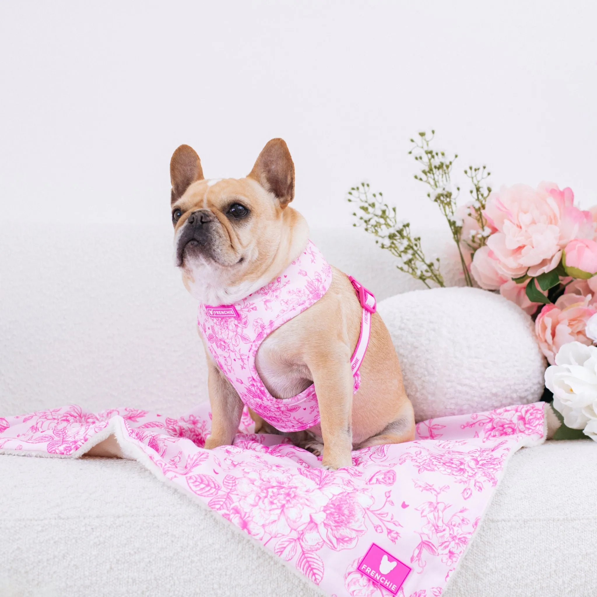 Frenchie Duo Reversible Harness - Toile- Pink