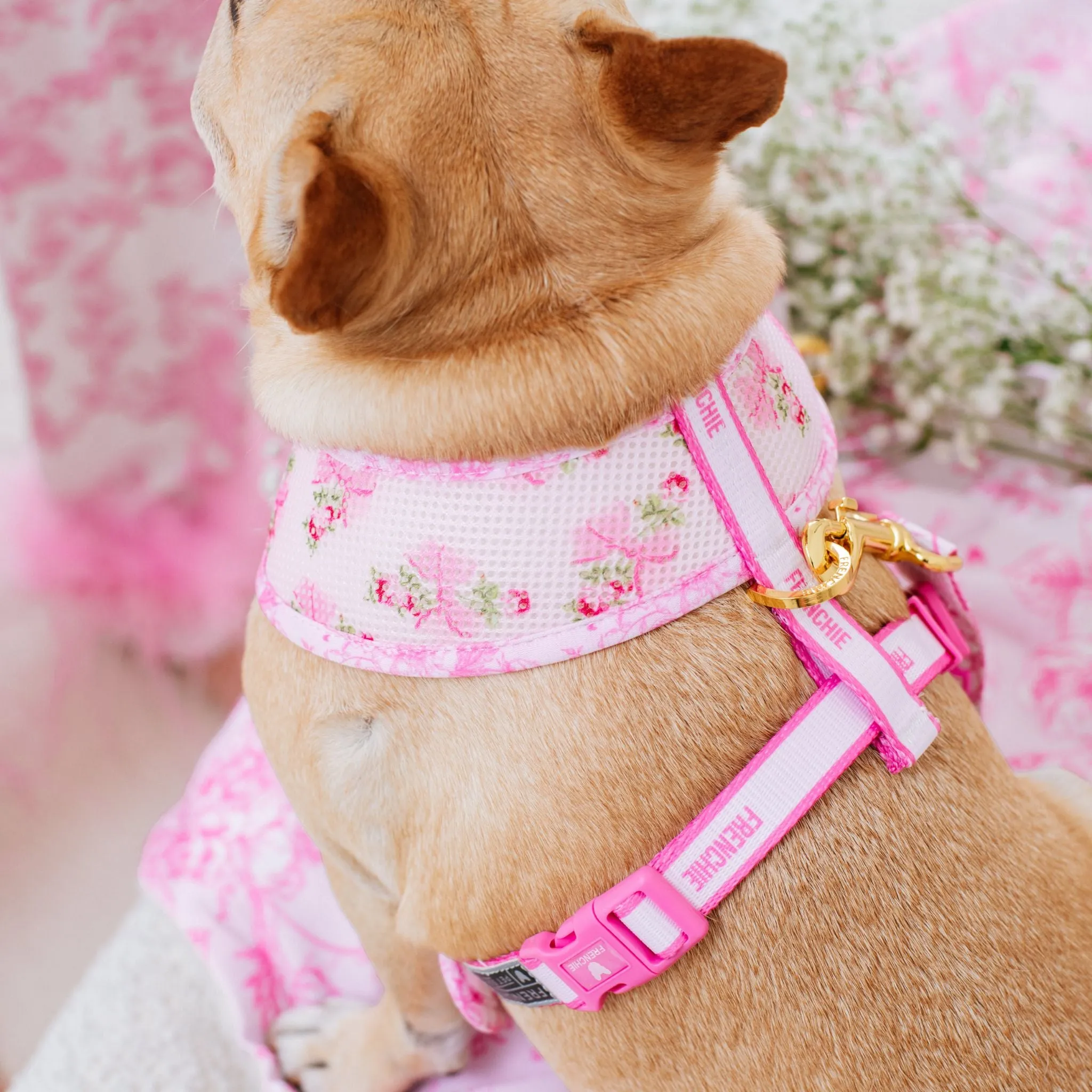 Frenchie Duo Reversible Harness - Toile- Pink