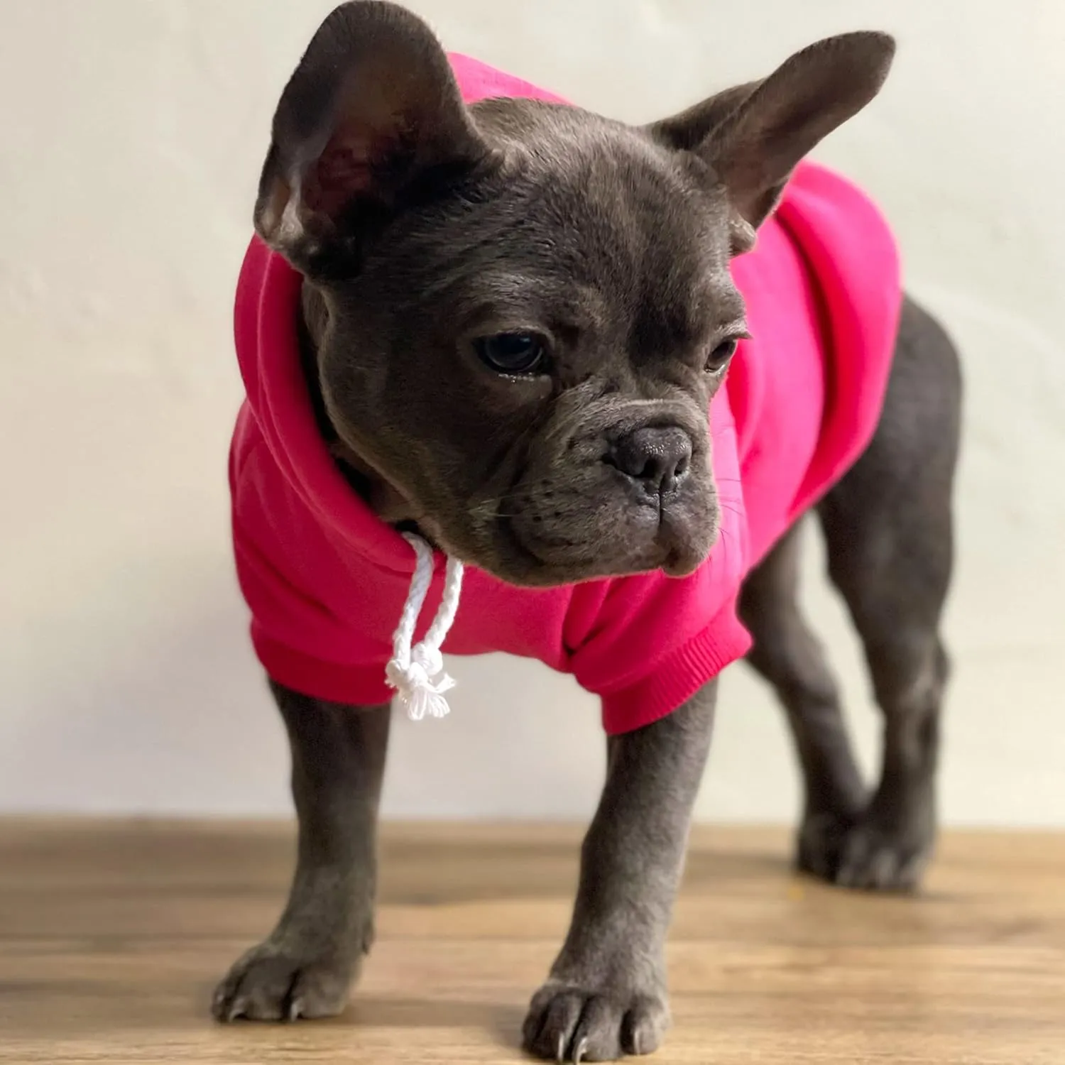 Happy Birthday Mommy! Dog Hoodie Fleece Lined Pullover Sweatshirt with Leash Hole (Red, Small 169)