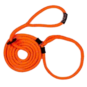 Harness Lead Reflective Orange