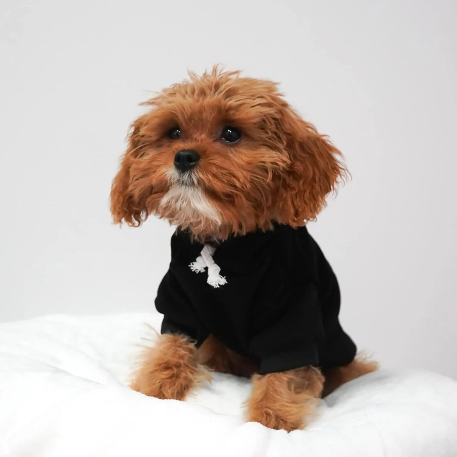 Love My Soldier Dog Hoodie Fleece Lined Pullover Sweatshirt with Leash Hole (Grey, Medium 89)