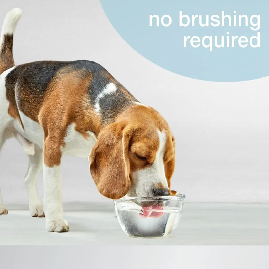 Nylabone Advanced Oral Care Breath Freshener For Dogs & Cats, 16-oz