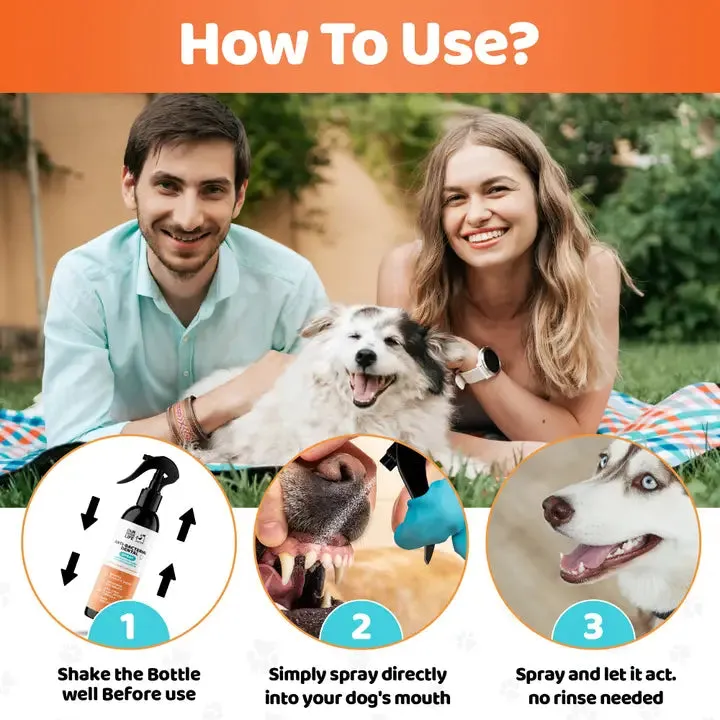 Our Dogs Life - Dog Dental Spray