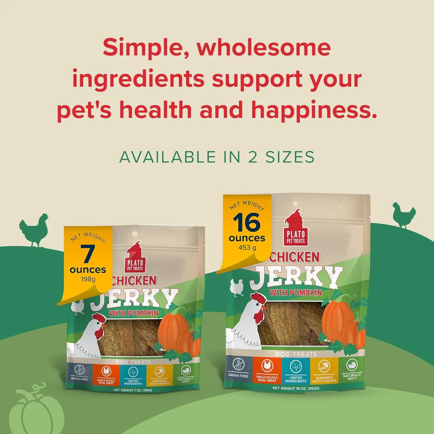 PLATO Pet Treats Jerky Dog Treats - Air-Dried Jerky for Dogs - Delicious, Real Meat Dog Treats - Grain Free - Supports Healthy Digestion - Chicken Jerky with Pumpkin 16oz