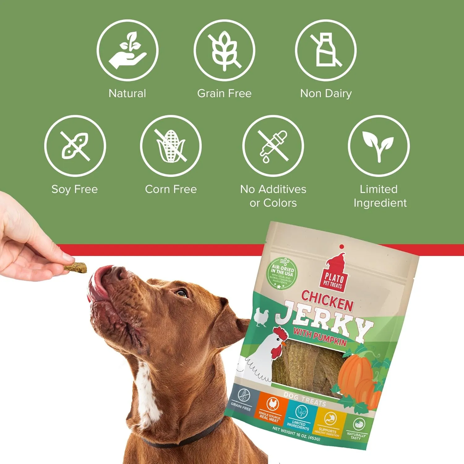 PLATO Pet Treats Jerky Dog Treats - Air-Dried Jerky for Dogs - Delicious, Real Meat Dog Treats - Grain Free - Supports Healthy Digestion - Chicken Jerky with Pumpkin 16oz