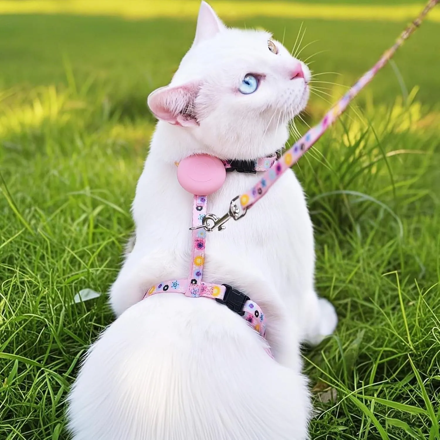 PUPTECK Cat Harness and Leash Set Escape Proof, Adjustable Soft Lightweight Kitten Harness with Airtag Holder for Small Medium Cats Walking, Pink Flower