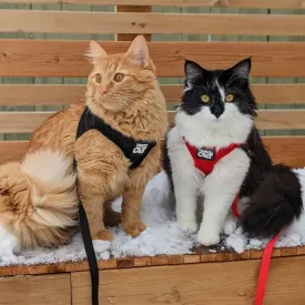 "You’re Kitten Me" Harness Bundle