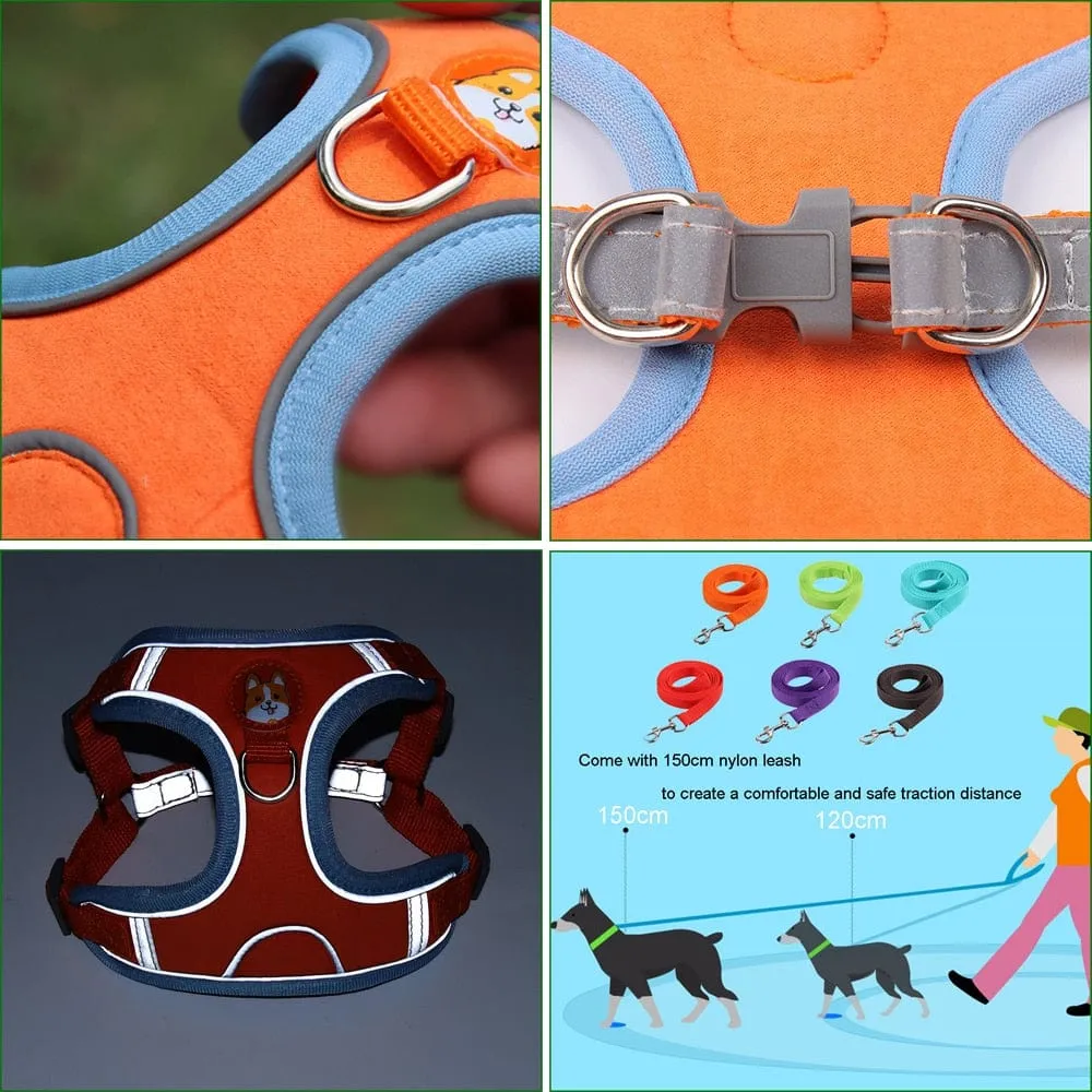 Reflective Dachshund Harness and Leash Set