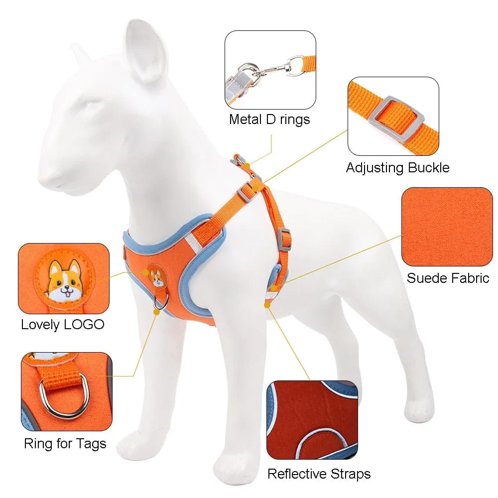 Reflective Dachshund Harness and Leash Set