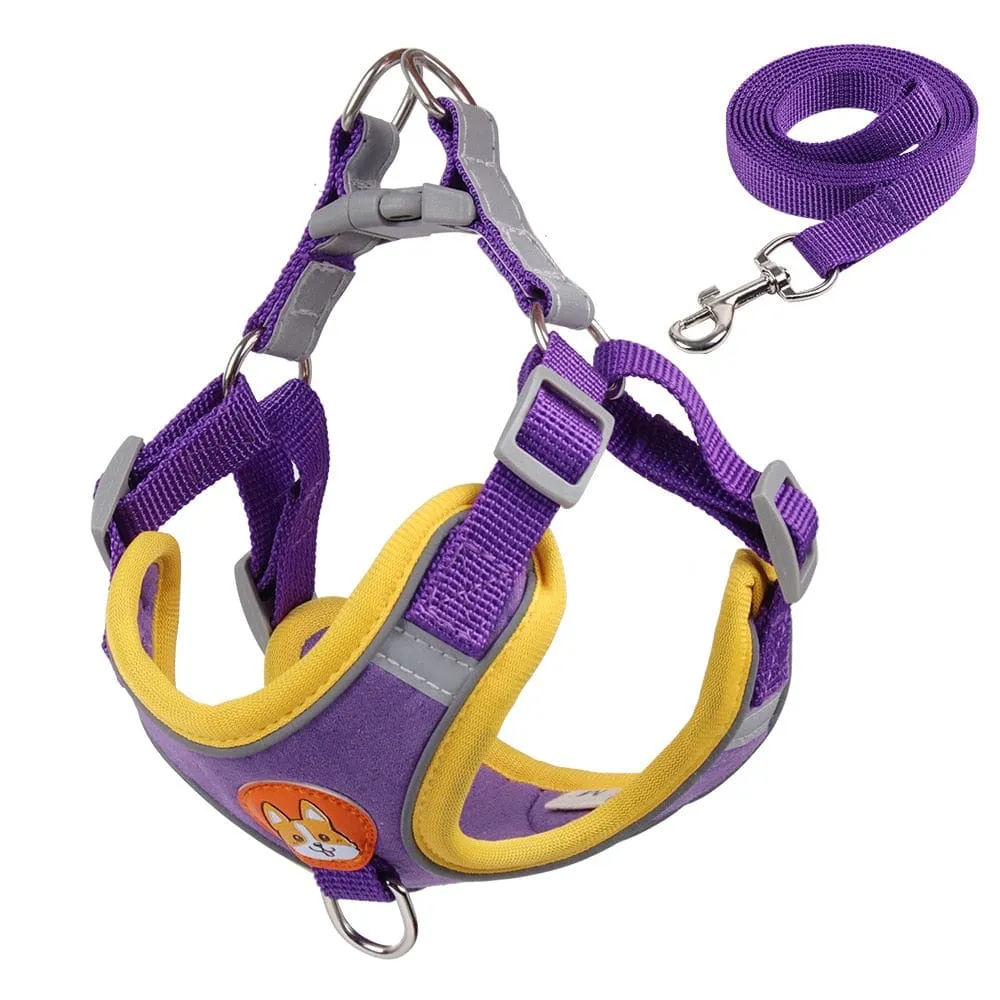Reflective Dachshund Harness and Leash Set