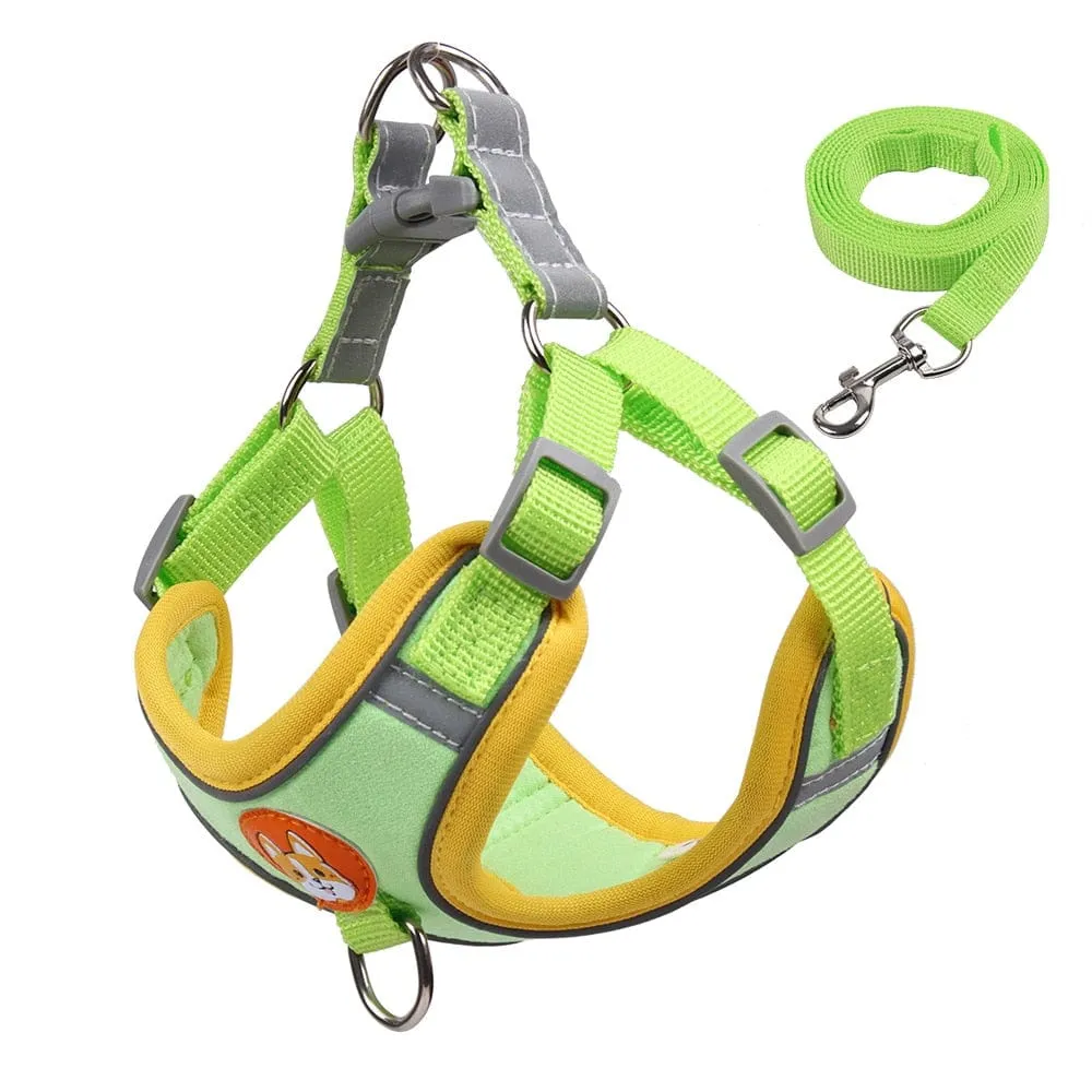 Reflective Dachshund Harness and Leash Set