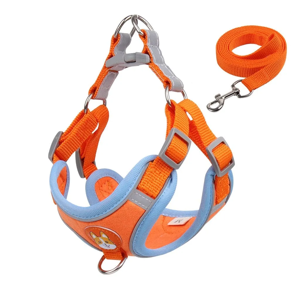 Reflective Dachshund Harness and Leash Set