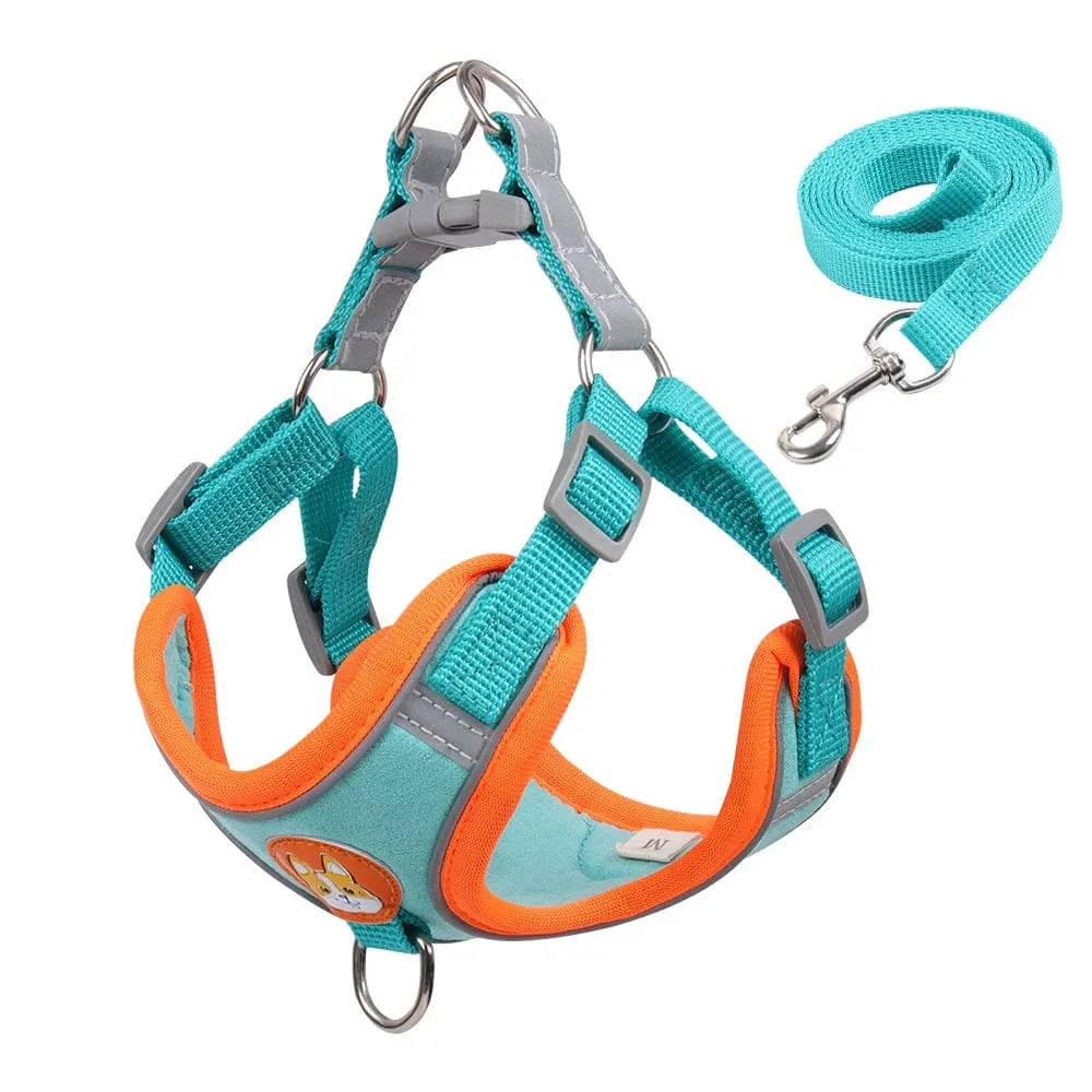 Reflective Dachshund Harness and Leash Set