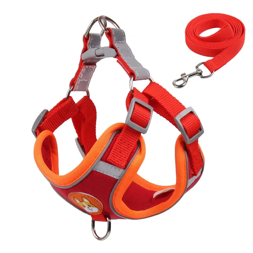 Reflective Dachshund Harness and Leash Set