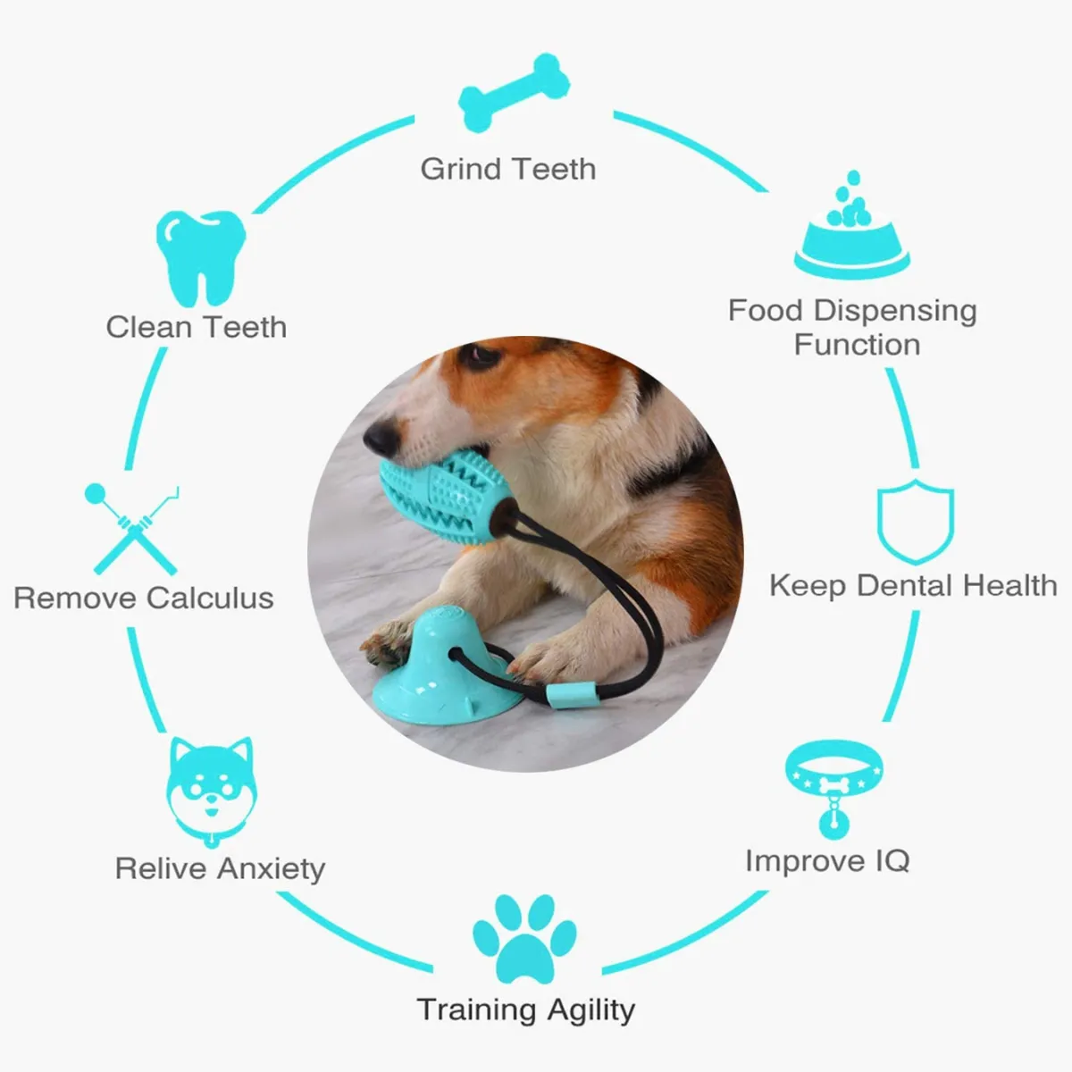 Single Suction Multifunction Interactive Ball Dog Toy